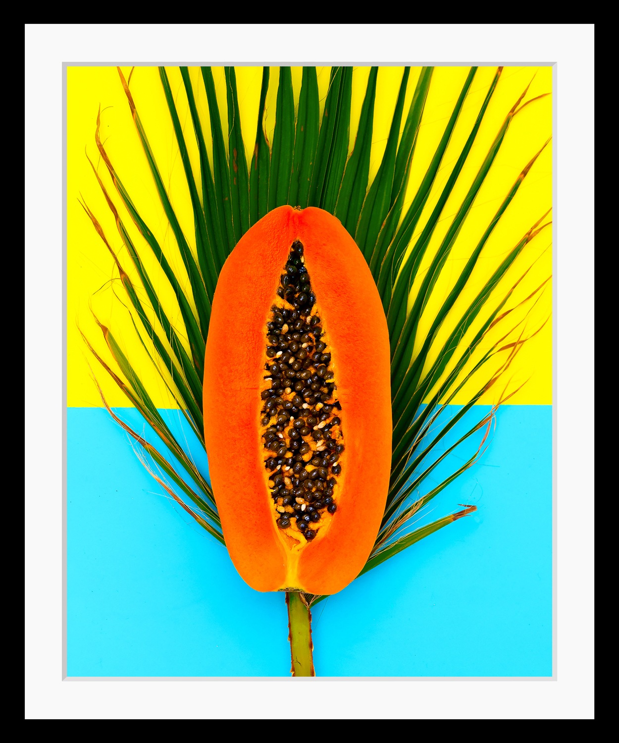 queence Bild »Papaya«, Obst-Obst Bilder-Blätter-Essen-Lebensmittel, HD Prem günstig online kaufen