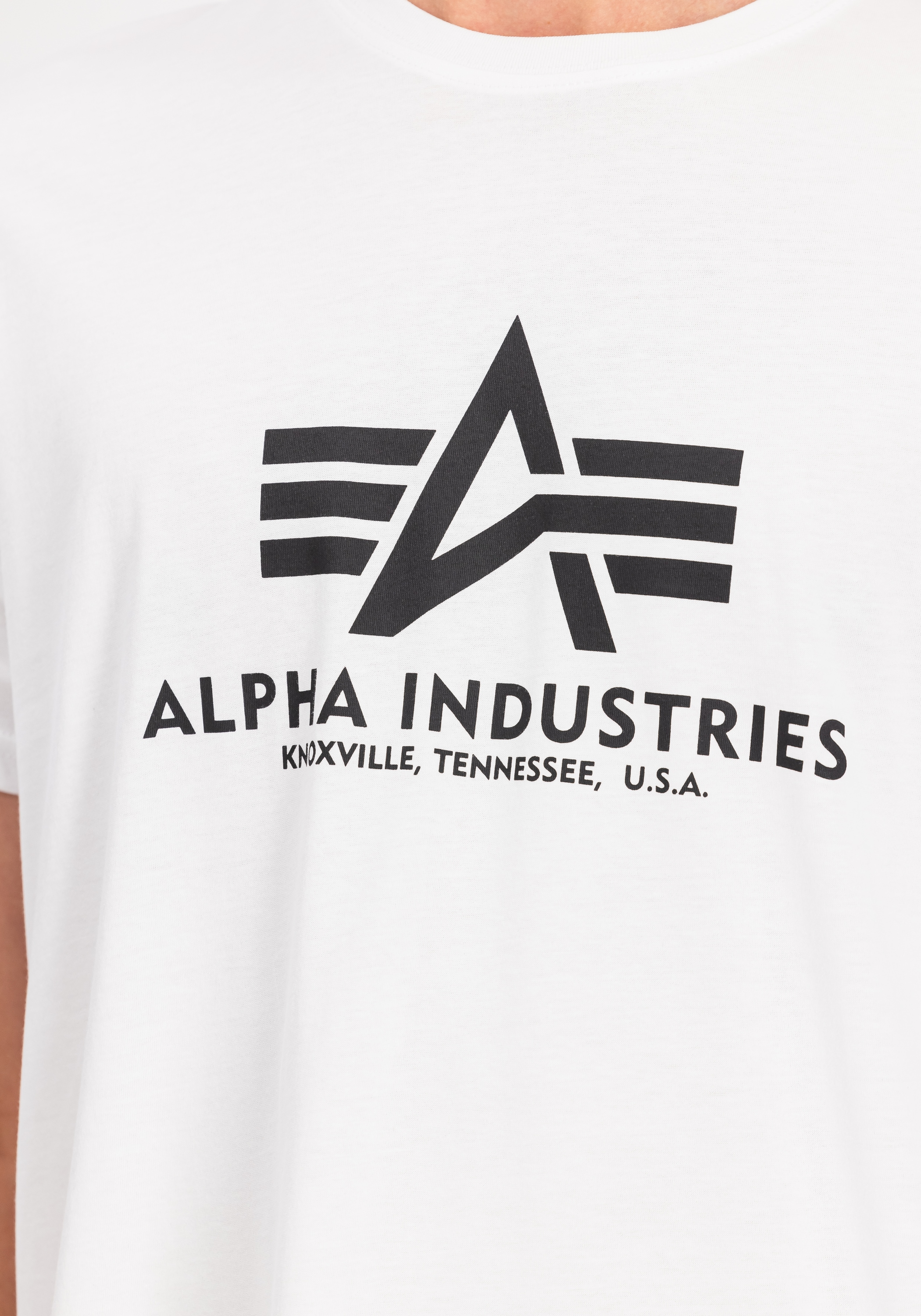 Alpha Industries T-Shirt »Alpha Industries Men - T-Shirts Basic T-Shirt 2 Pack«