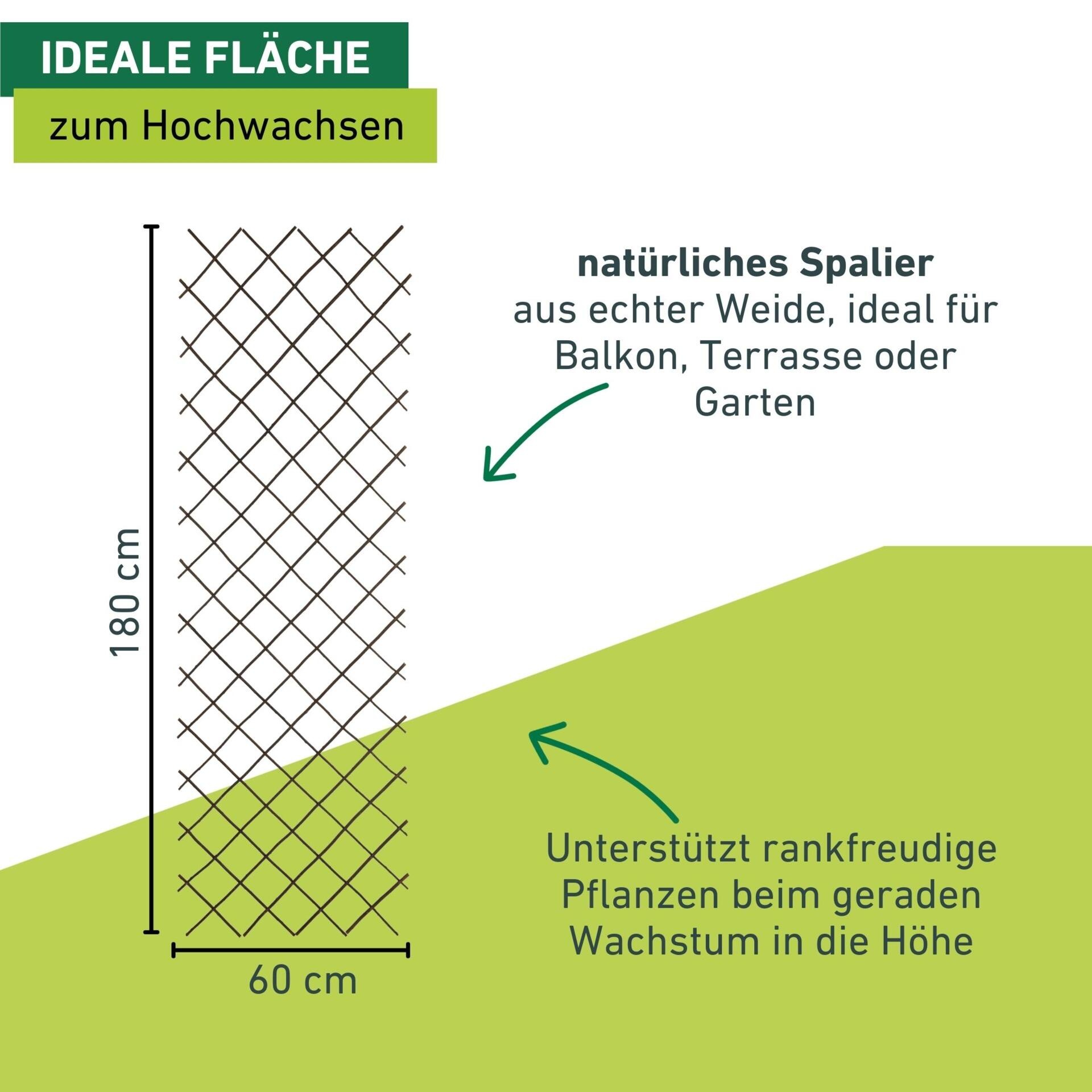 Windhager Rankgitter »Weide-Spalier ideal für Balkon, Terrasse oder Garten ausziehbar« Kletterhilfe für Pflanzen, erhältlich in 60 x 120 cm oder 120 x 180 cm