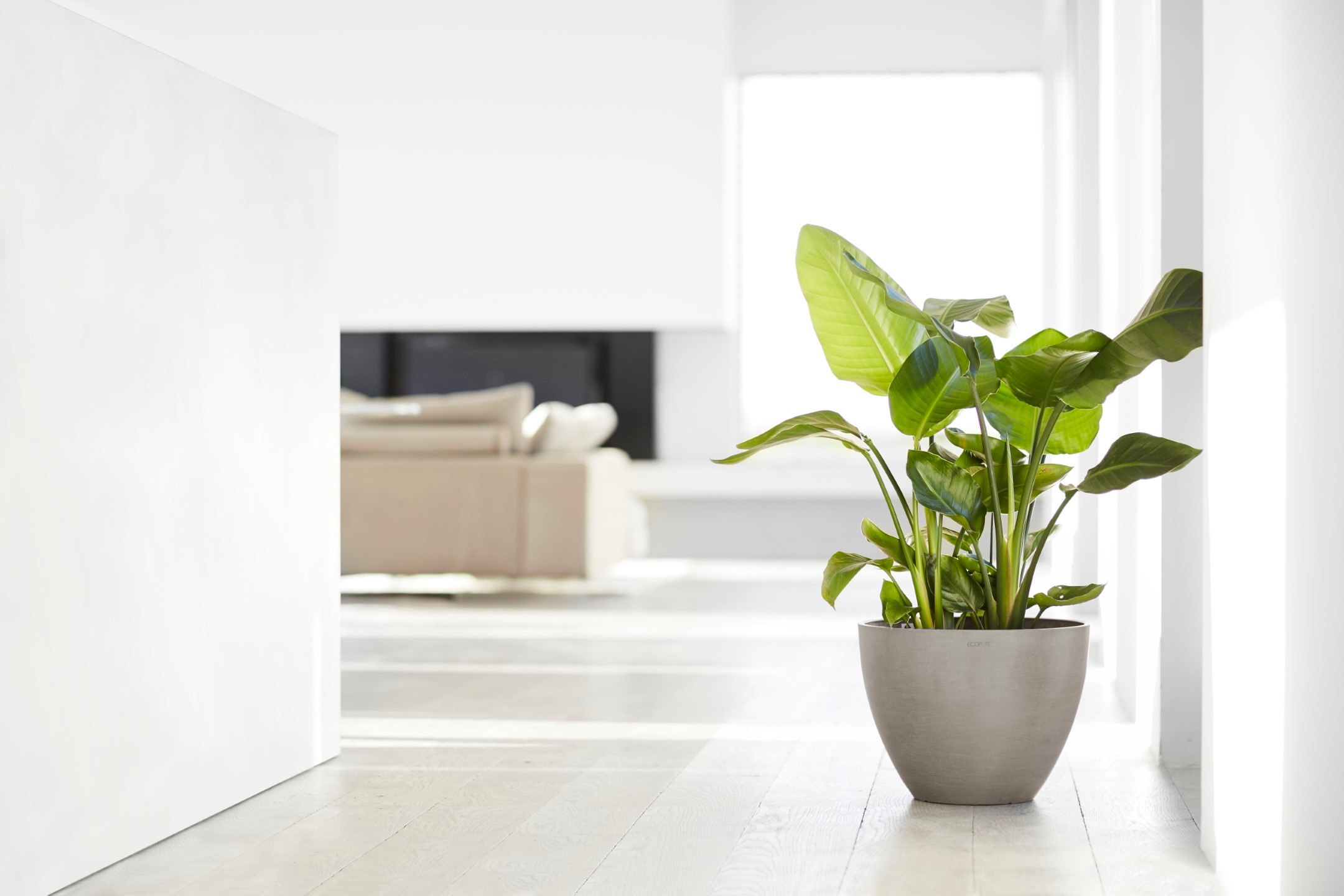 ECOPOTS Blumentopf »ANTWERP Taupe«, BxTxH: 40x40x30 cm