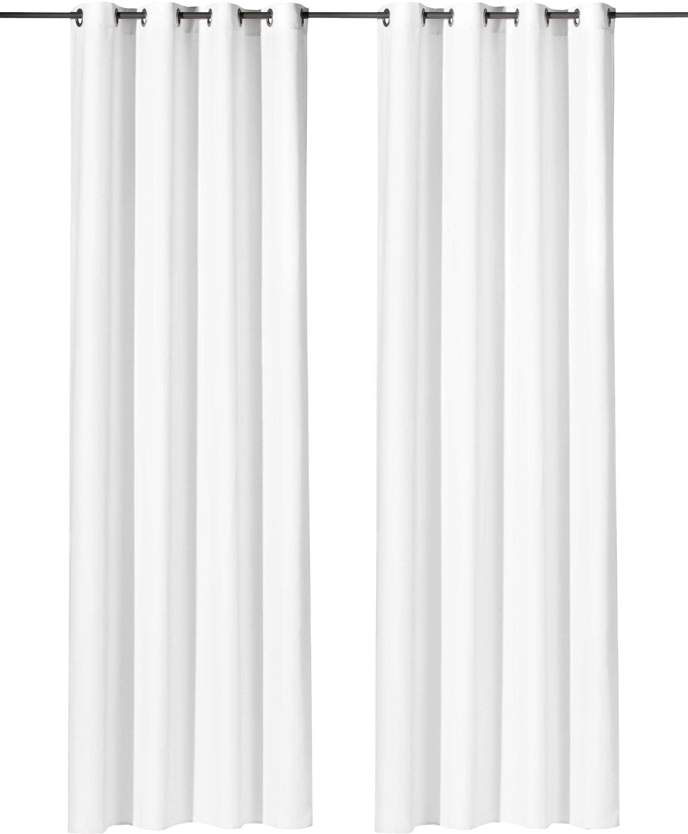 Weckbrodt Vorhang »Vito«, (1 St.), Microvelour, blickdicht, Unifarben, Gard günstig online kaufen