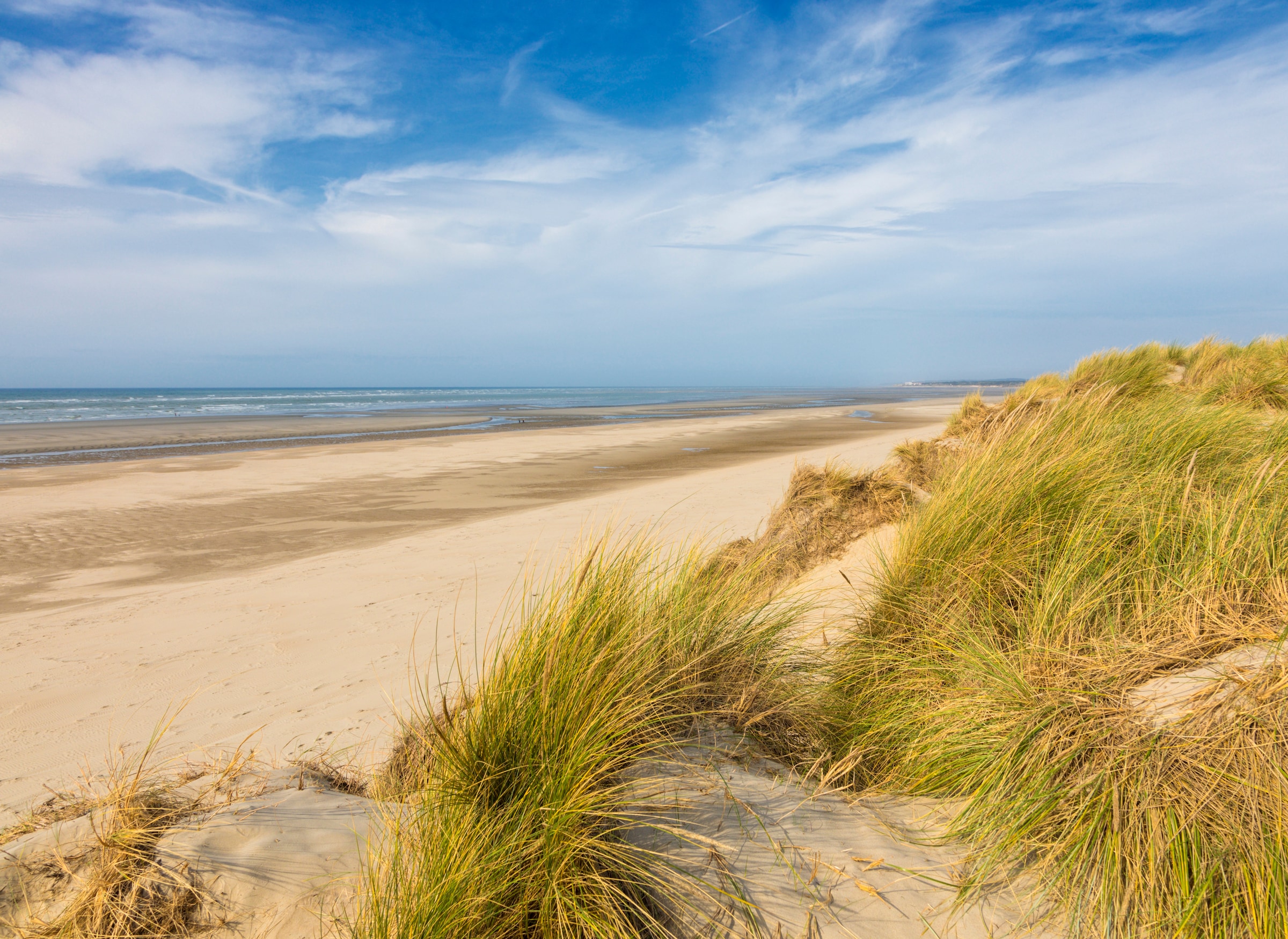 Papermoon Fototapete »Dunes Touquet-Paris Beach« glatt günstig online kaufen