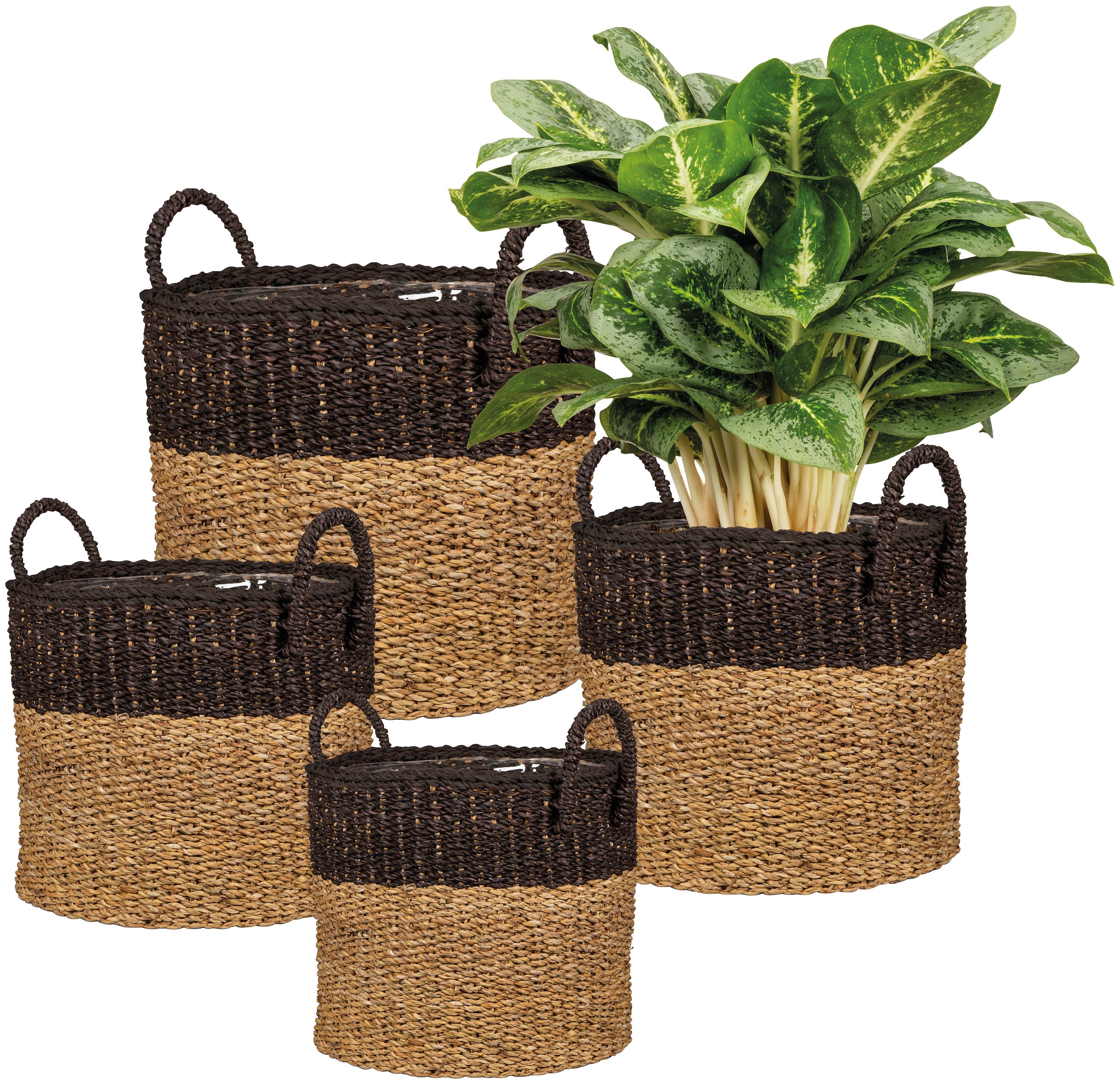 Scheurich Blumentopf »nut brown 37/516«