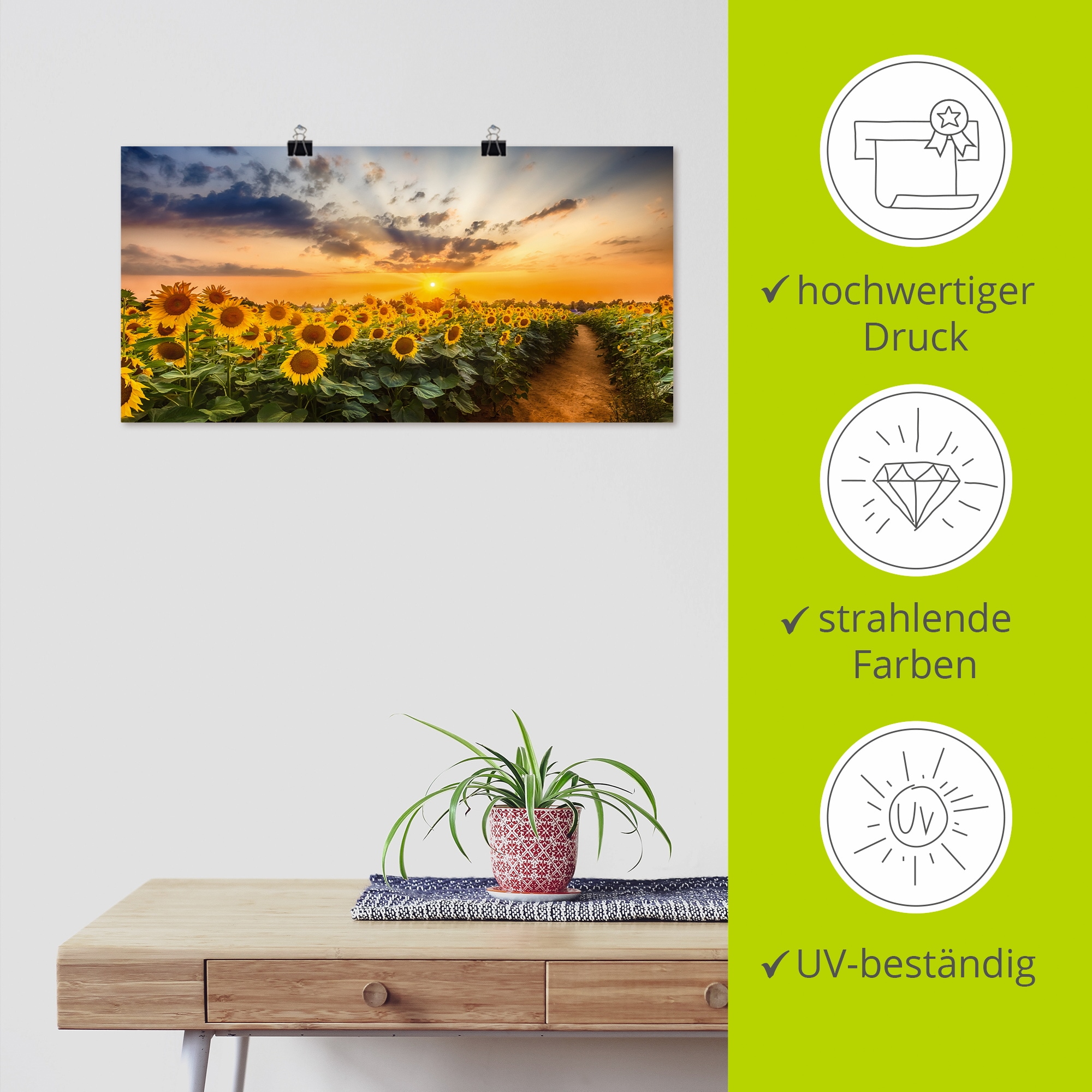 Artland Wandbild »Sonnenblumenfeld bei Sonnenuntergang«, Blumenbilder, (1 St.), als Alubild, Outdoorbild, Leinwandbild, Poster in verschied. Größen