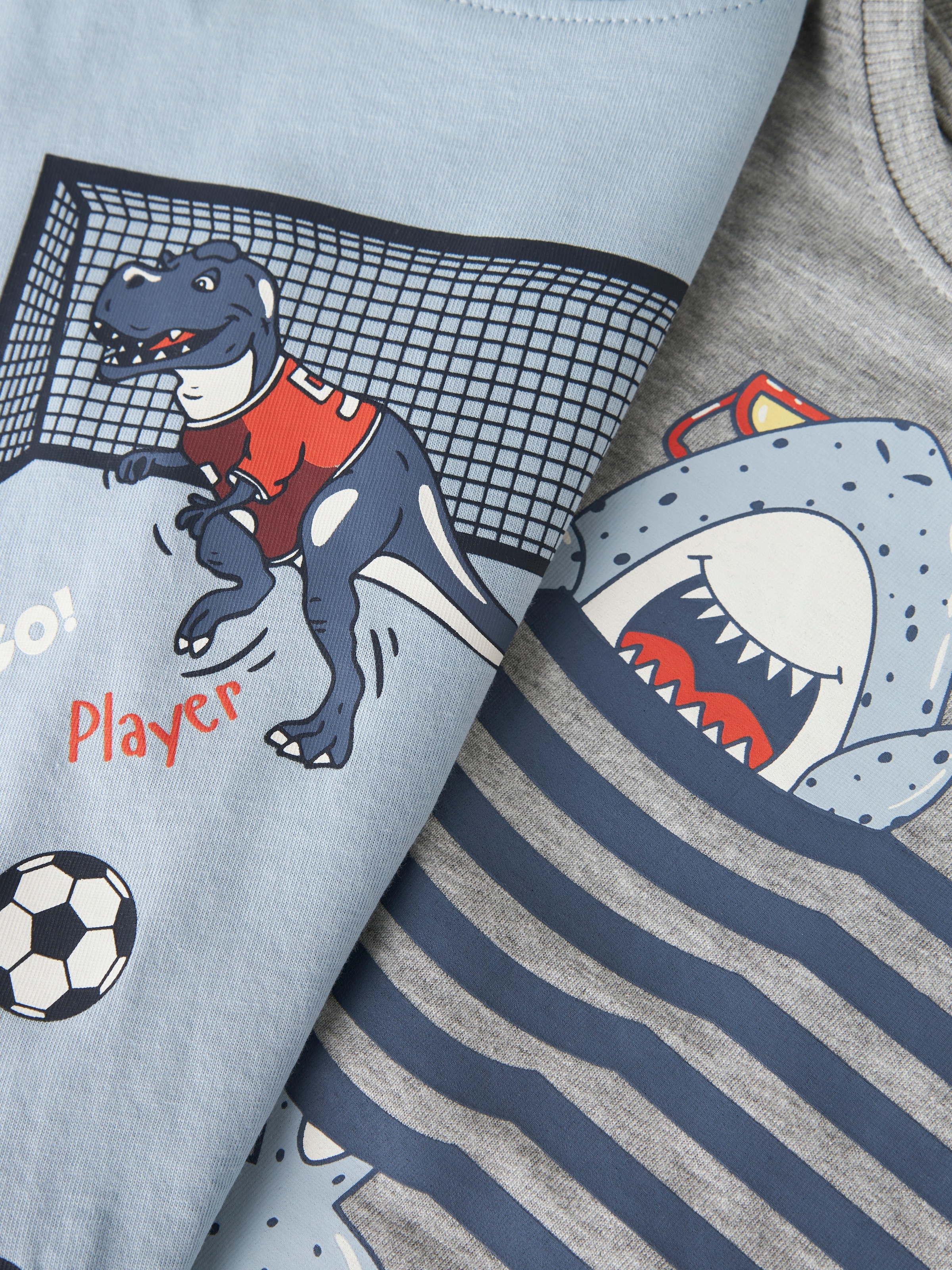 Name It Langarmshirt »NMMVILASSE 2P LS NREG TOP« Packung, 2