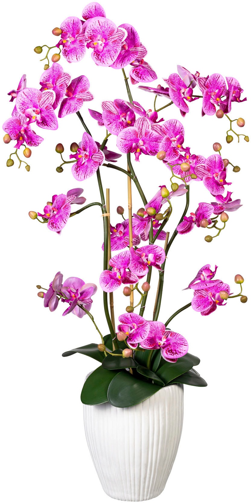 Creativ green Kunstorchidee »Deko-Orchidee Phalaenopsis XL im Keramiktopf«, (1 St.) kaufen