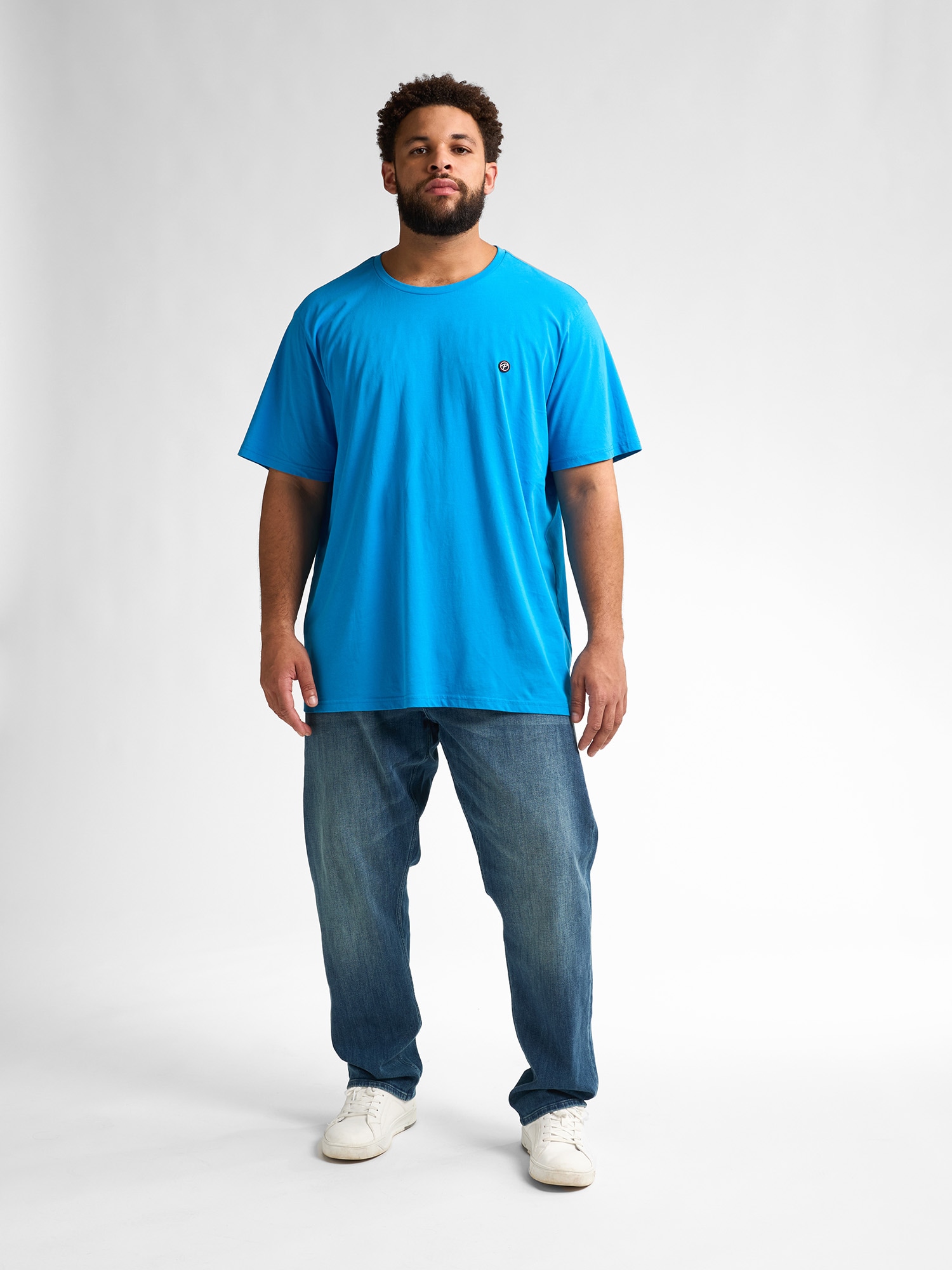 Petrol Industries Rundhalsshirt mit Logo Stickerei