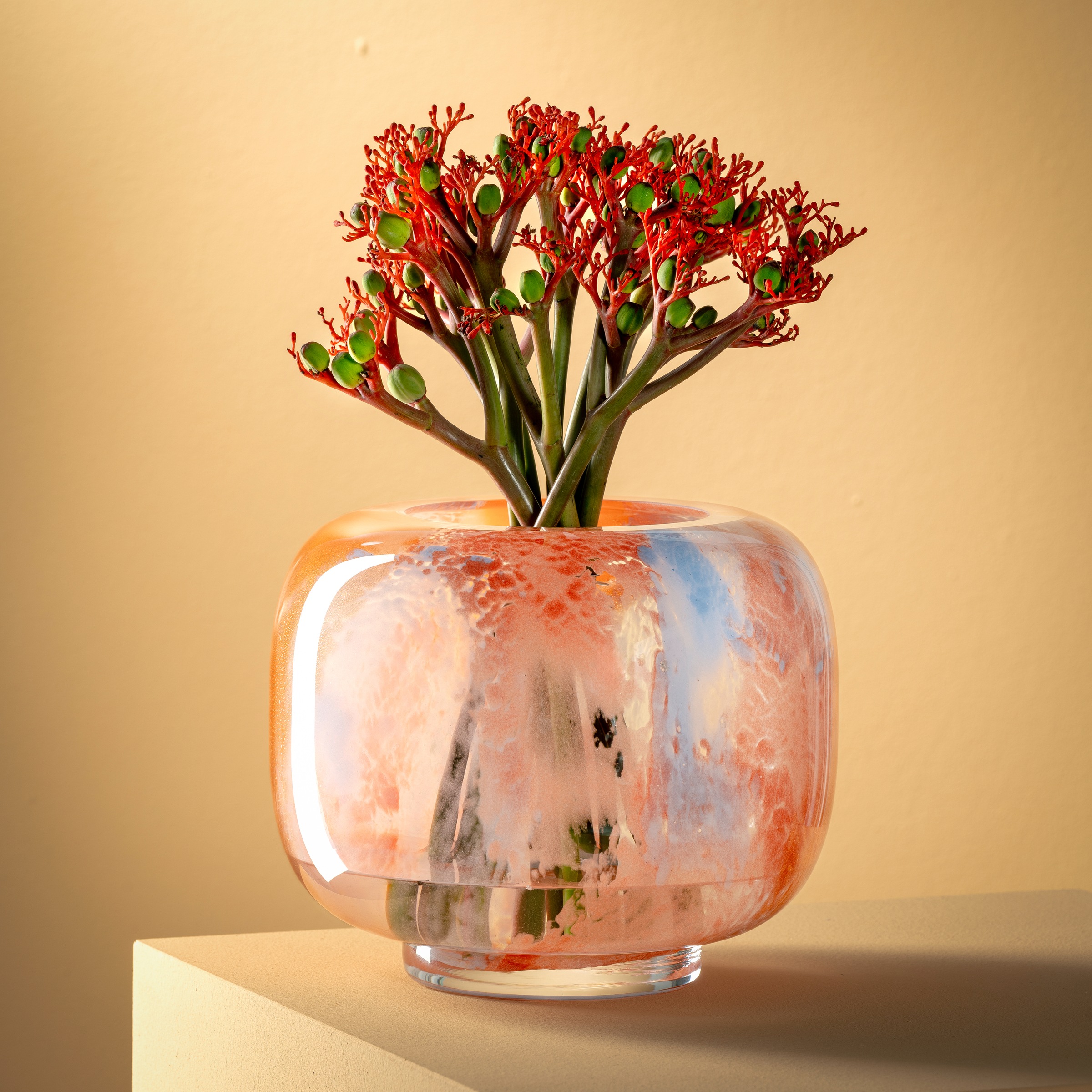 LEONARDO Dekovase »Vase CIPRIA DUE«, (1 St.)
