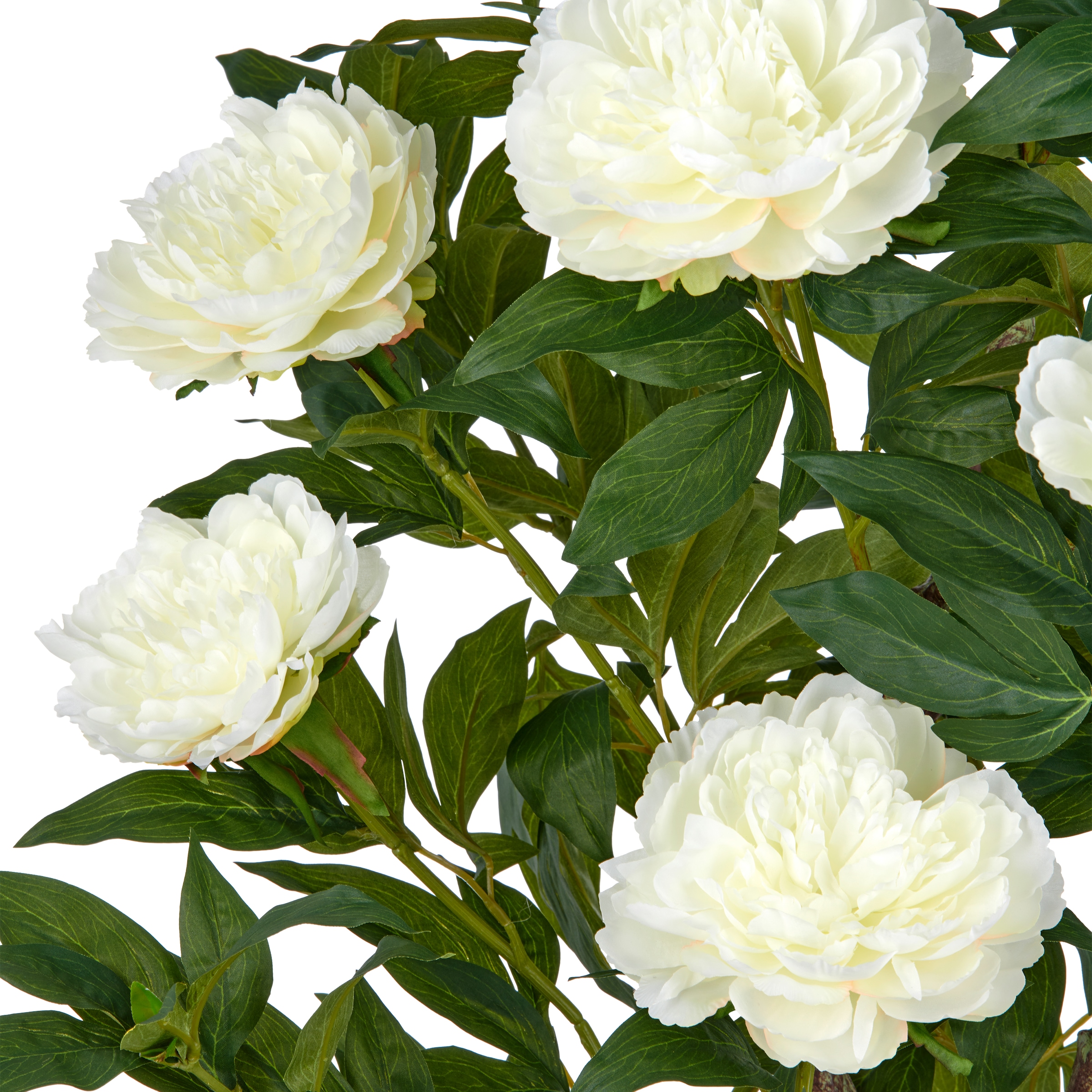 Creativ green Kunstpflanze »Peonie«, im eleganten Topf