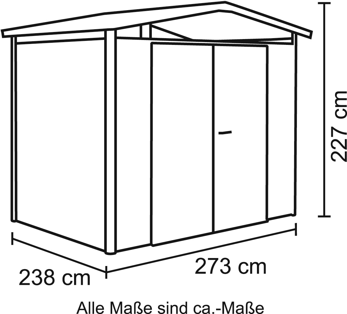 Biohort Gerätehaus »Panorama P3 DT«, Metall