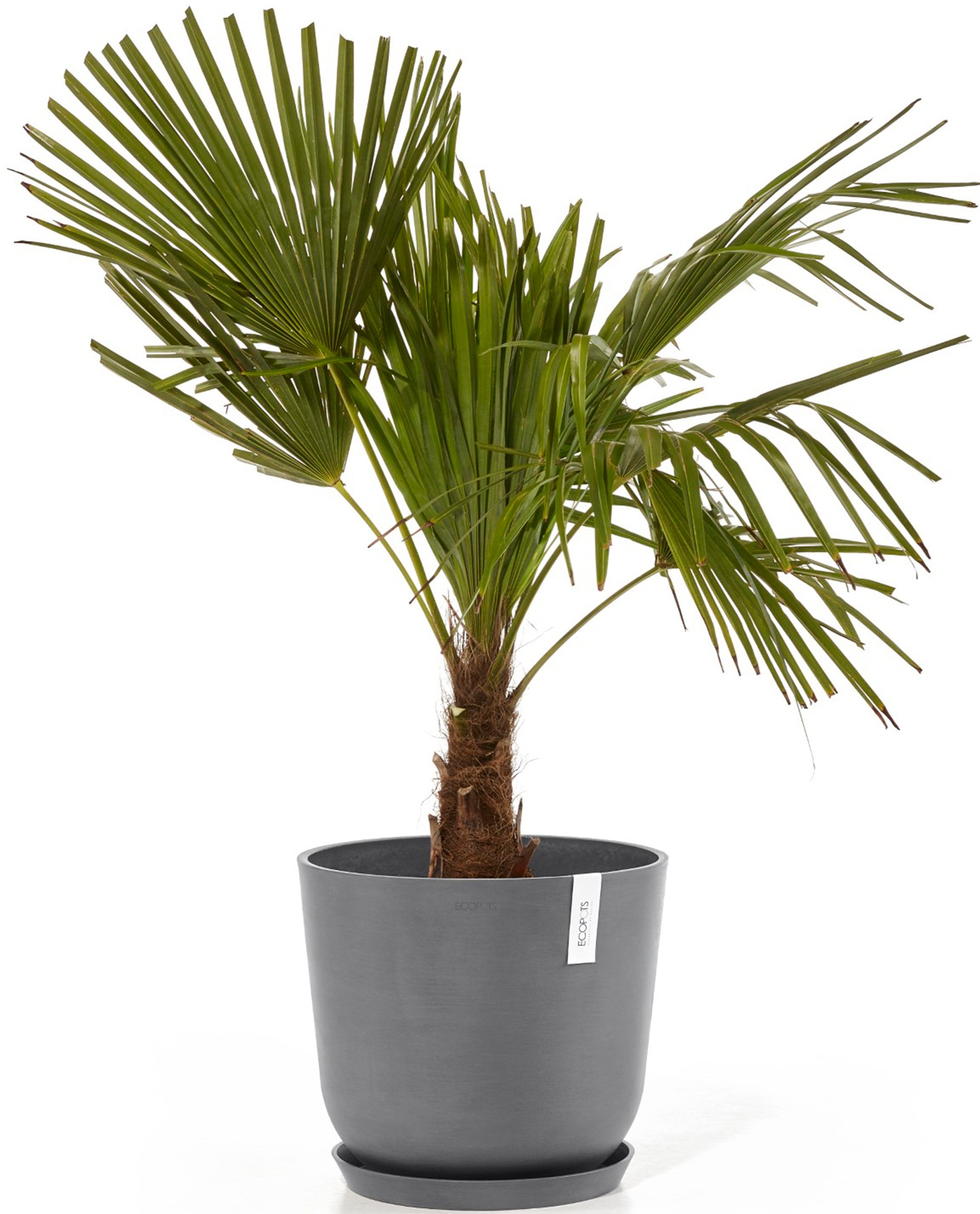 ECOPOTS Blumentopf »Oslo 35 Grau«, für innen und außen: frostsicher, bruchsicher und lichtbeständig