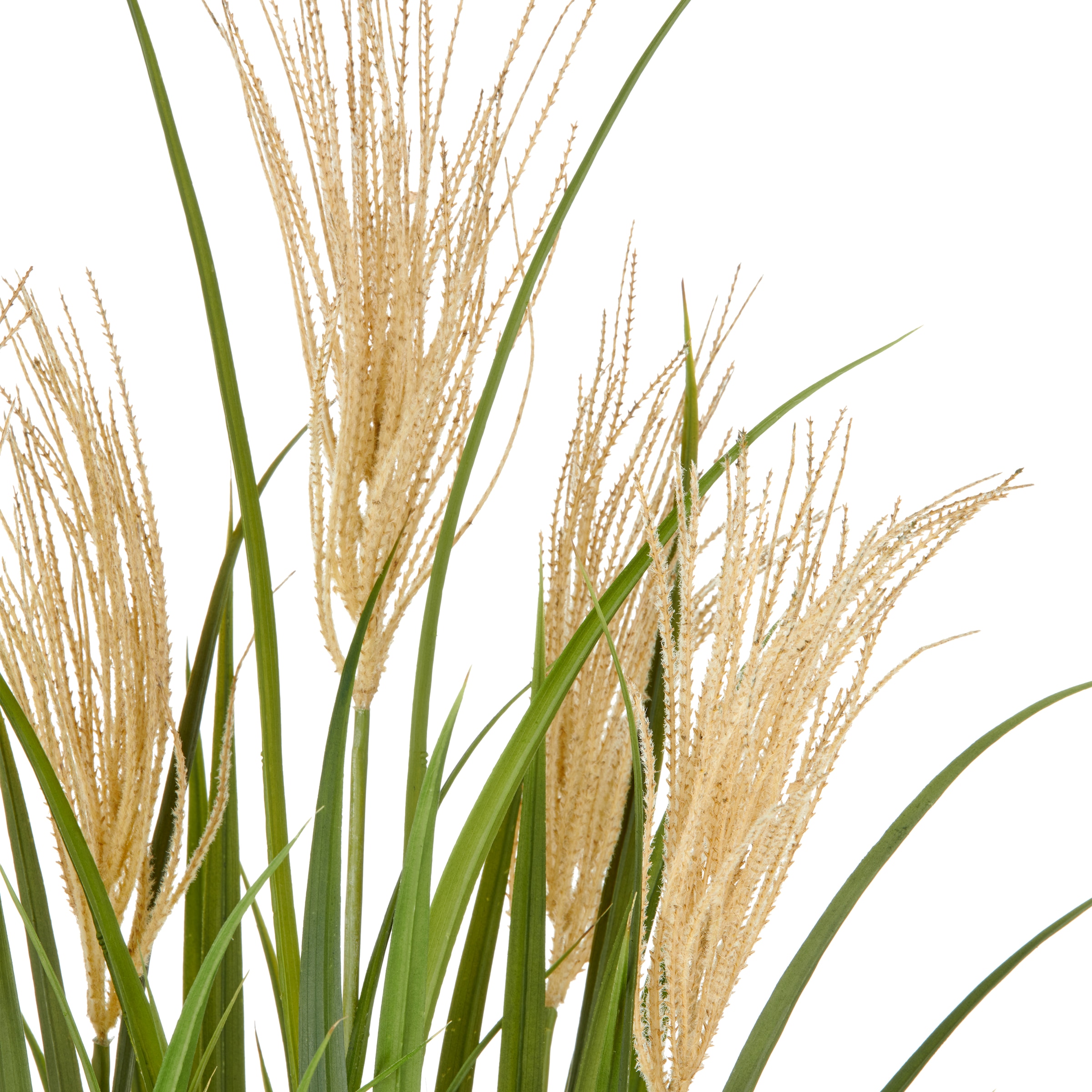 Creativ green Kunstgras »Grasbusch Schilfrohr«, im eleganten Topf
