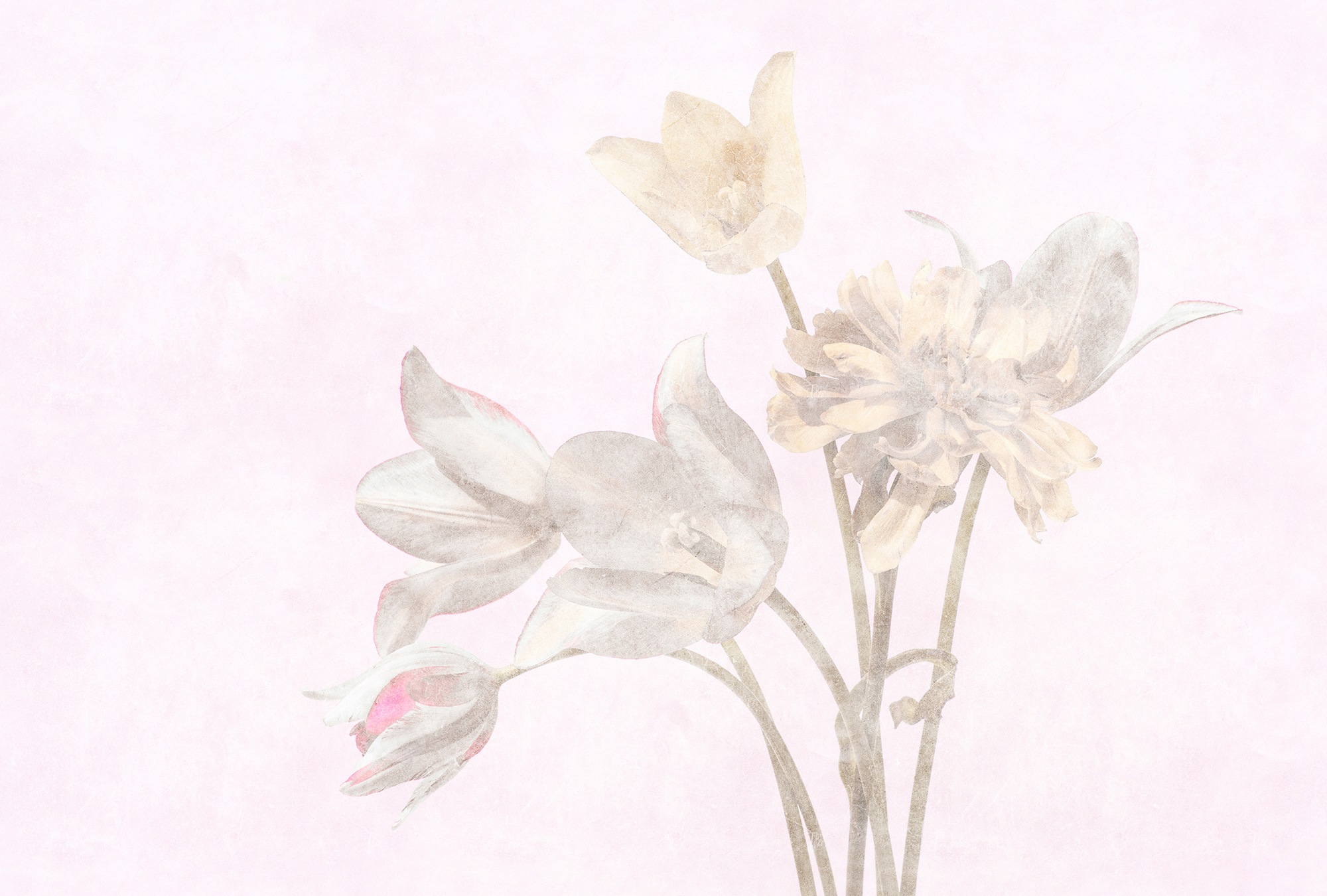 living walls Fototapete »Walls by Patel Morning Room« glatt Vlies, Wand günstig online kaufen