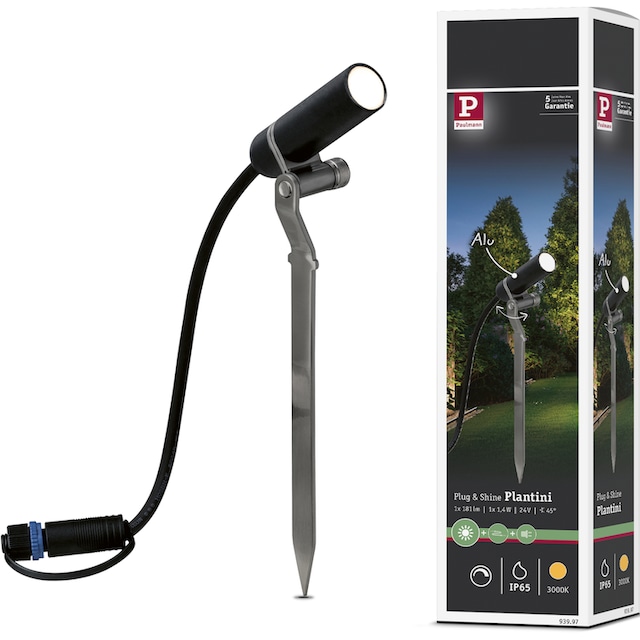 Paulmann LED Gartenstrahler »Plug & Shine«, 1 flammig-flammig, LED-Modul,  3000K 24V Anthrazit auf Raten kaufen