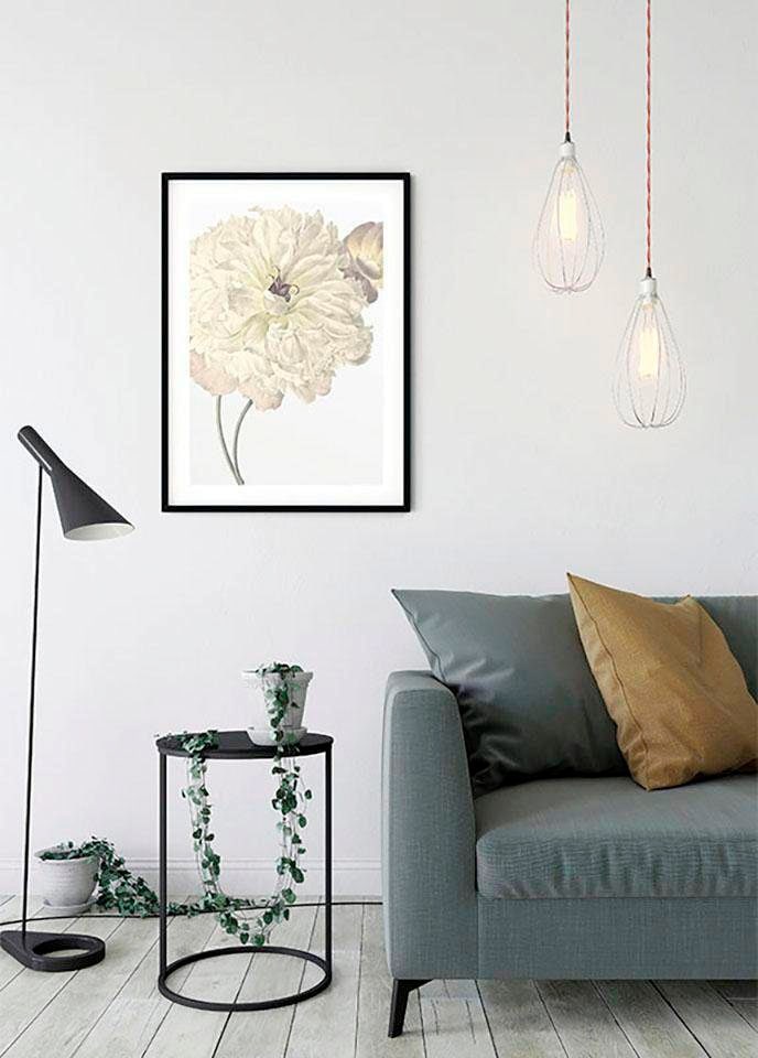 Komar Bild »Illustration Dahlia«, Blumen, (1 St.), Wandbild zur Dekoration - ohne Rahmen