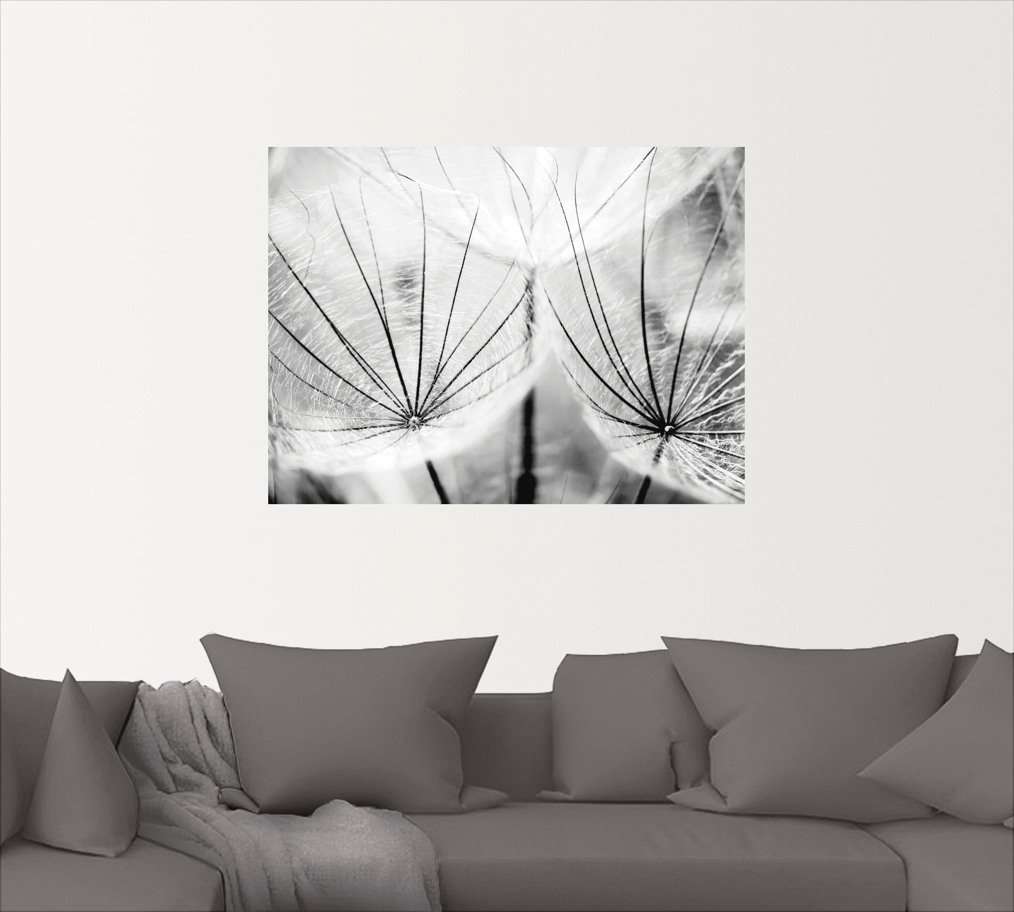 Artland Wandbild »Pusteblume in schwarzweiß«, Blumen, (1 St.), als Alubild, Outdoorbild, Leinwandbild, Poster, Wandaufkleber