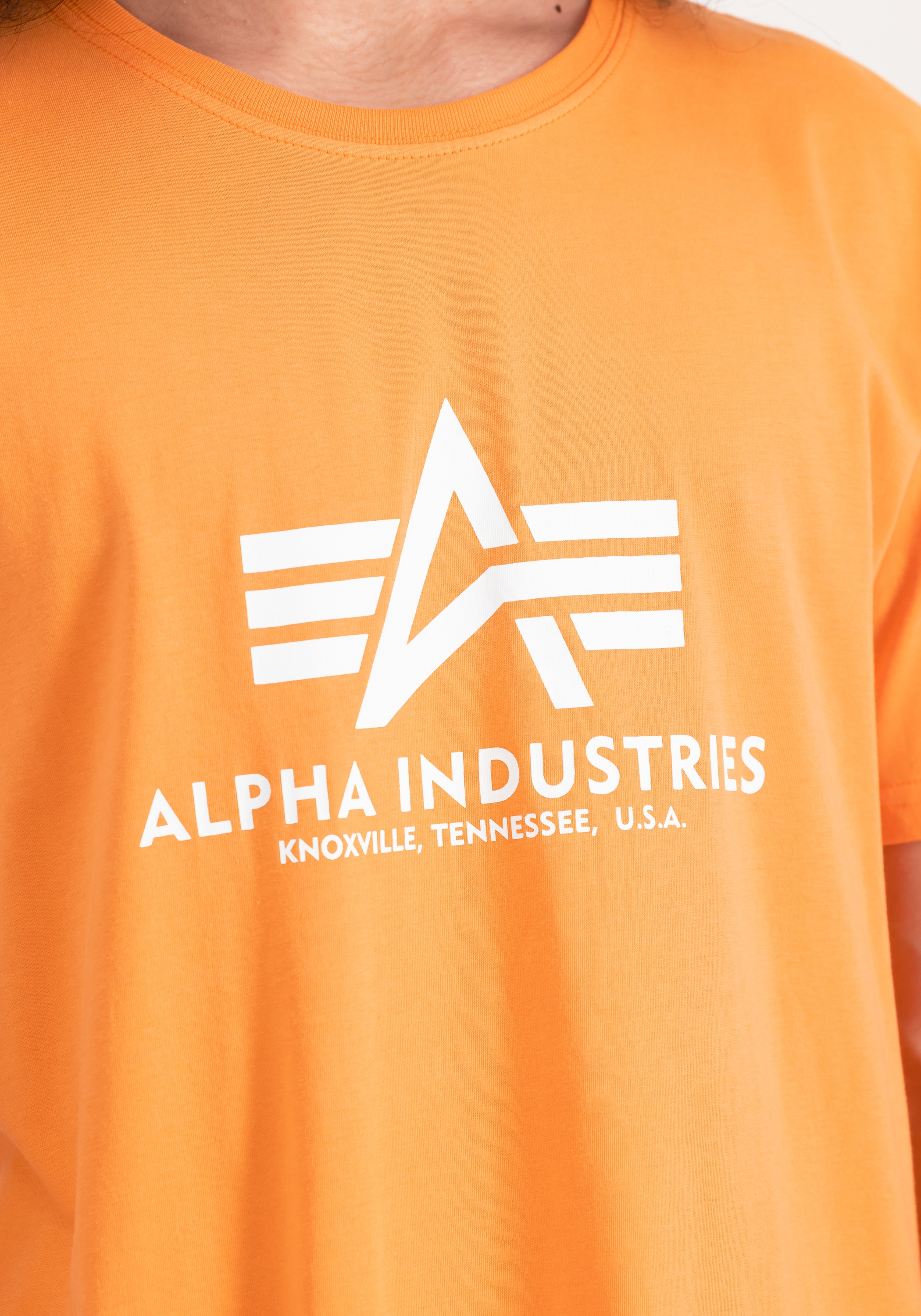 Alpha Industries T-Shirt »Basic T-Shirt BL«