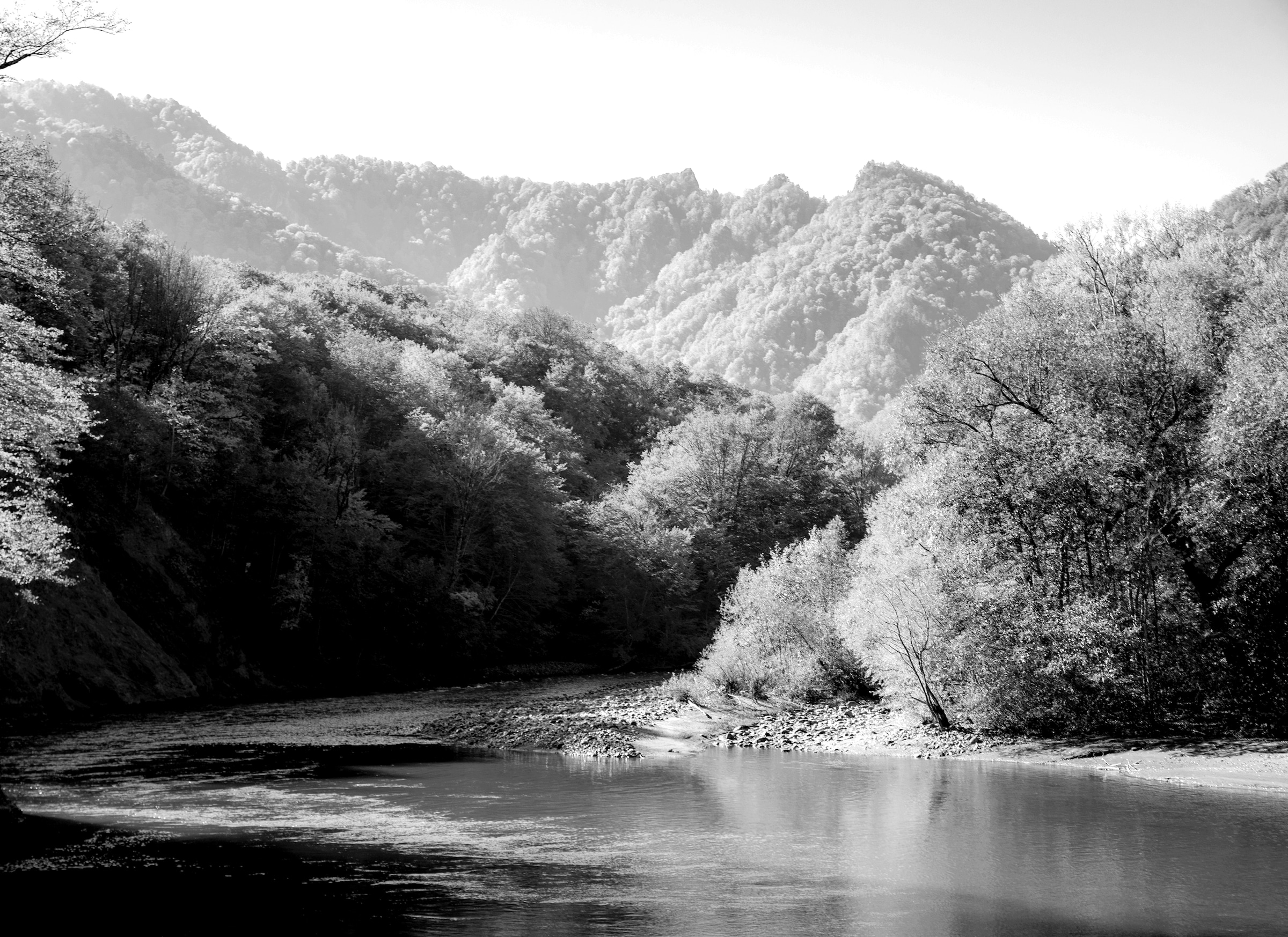 Papermoon Fototapete »Landschaft Schwarz & Weiß« günstig online kaufen