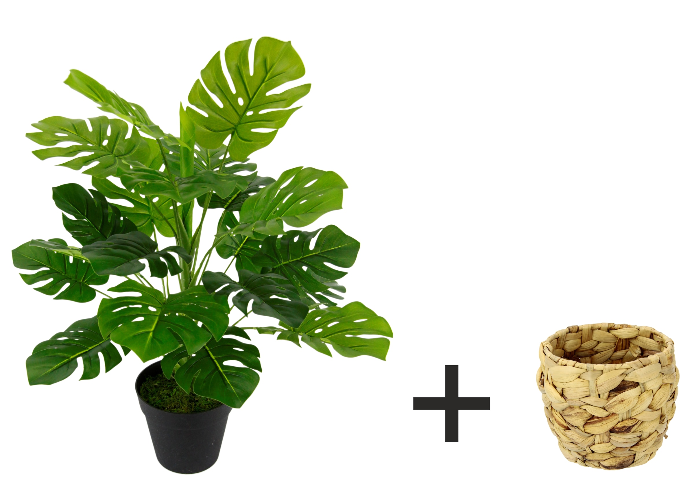 I.GE.A. Kunstpflanze »Monstera«, Mit Übertopf künstlicheSplitphilo-Pflanze