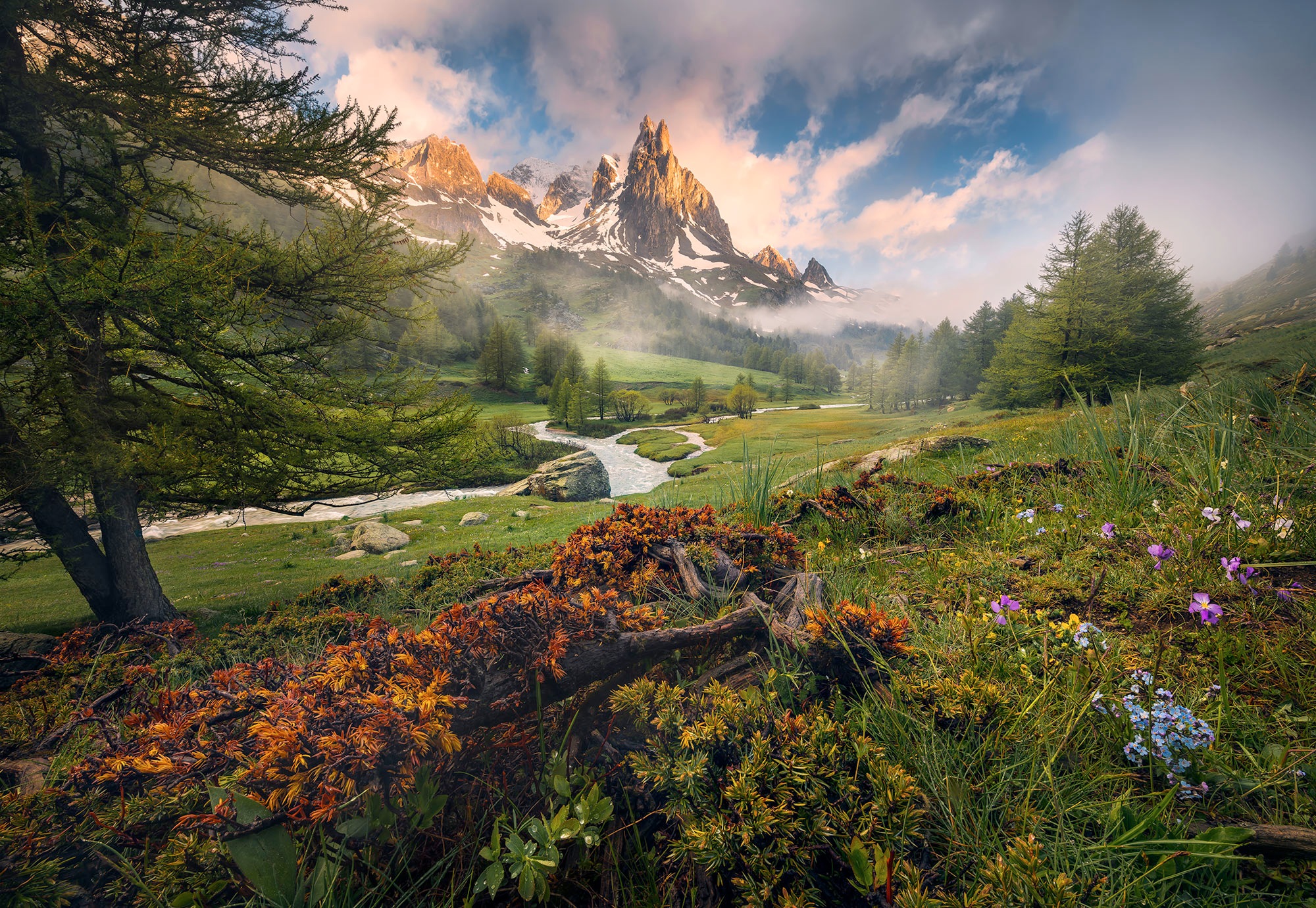 Komar Fototapete »Morning Walk«, 368x254 cm (Breite x Höhe), inklusive Klei günstig online kaufen