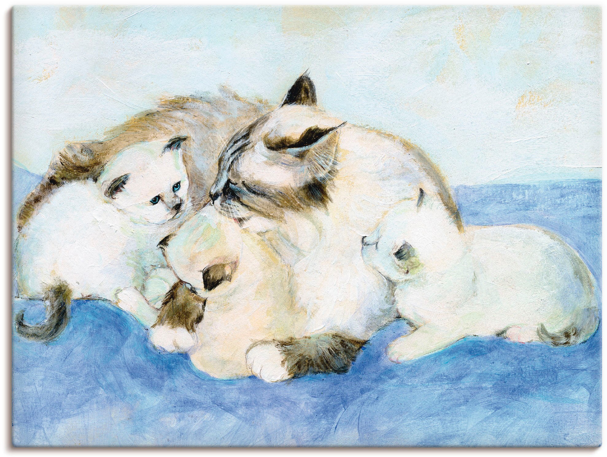 Artland Wandbild »Katzenfamilie« Haustiere 1 Stk. tlg. als Leinwandbild, Wa günstig online kaufen