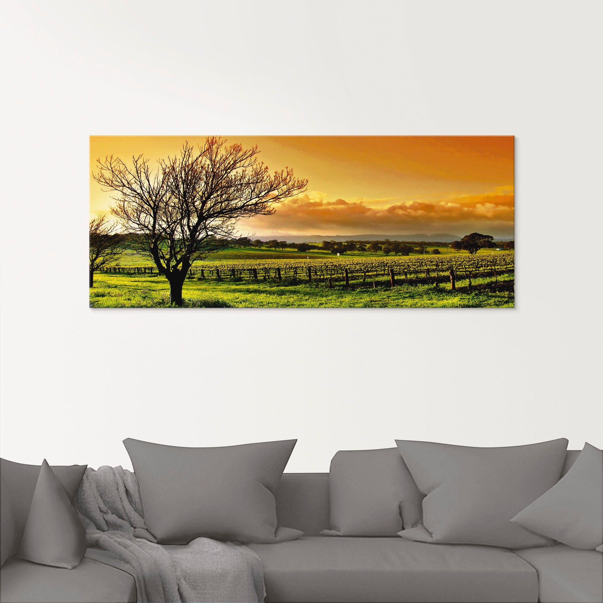 Artland Glasbild »Landschaft mit Weinbergen«, Felder, (3 St.), in verschied günstig online kaufen