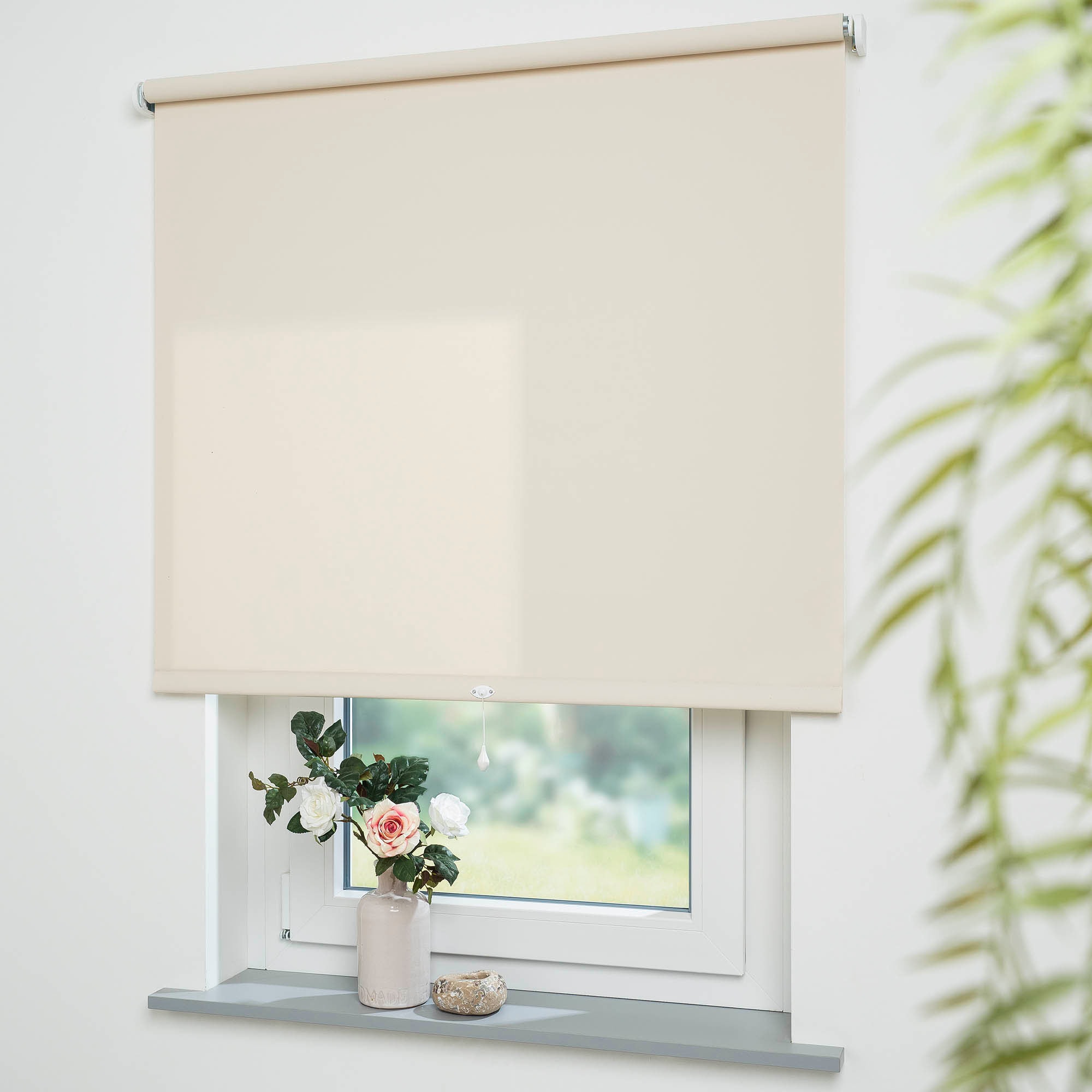 Liedeco Springrollo »Uni«, Lichtschutz, mit Bohren, freihängend, Rollowelle günstig online kaufen