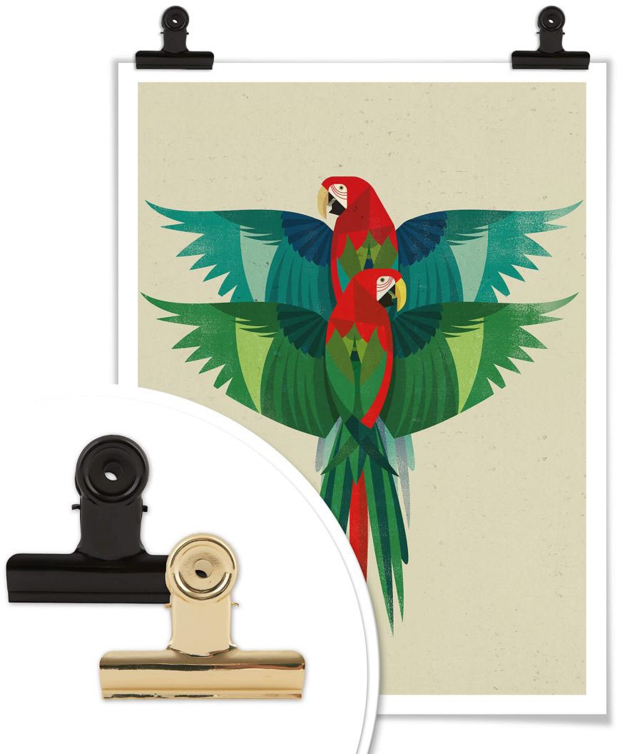Wall-Art Poster »Ara Illustration bunt«, Papageien, (1 St.), Poster ohne Bilderrahmen