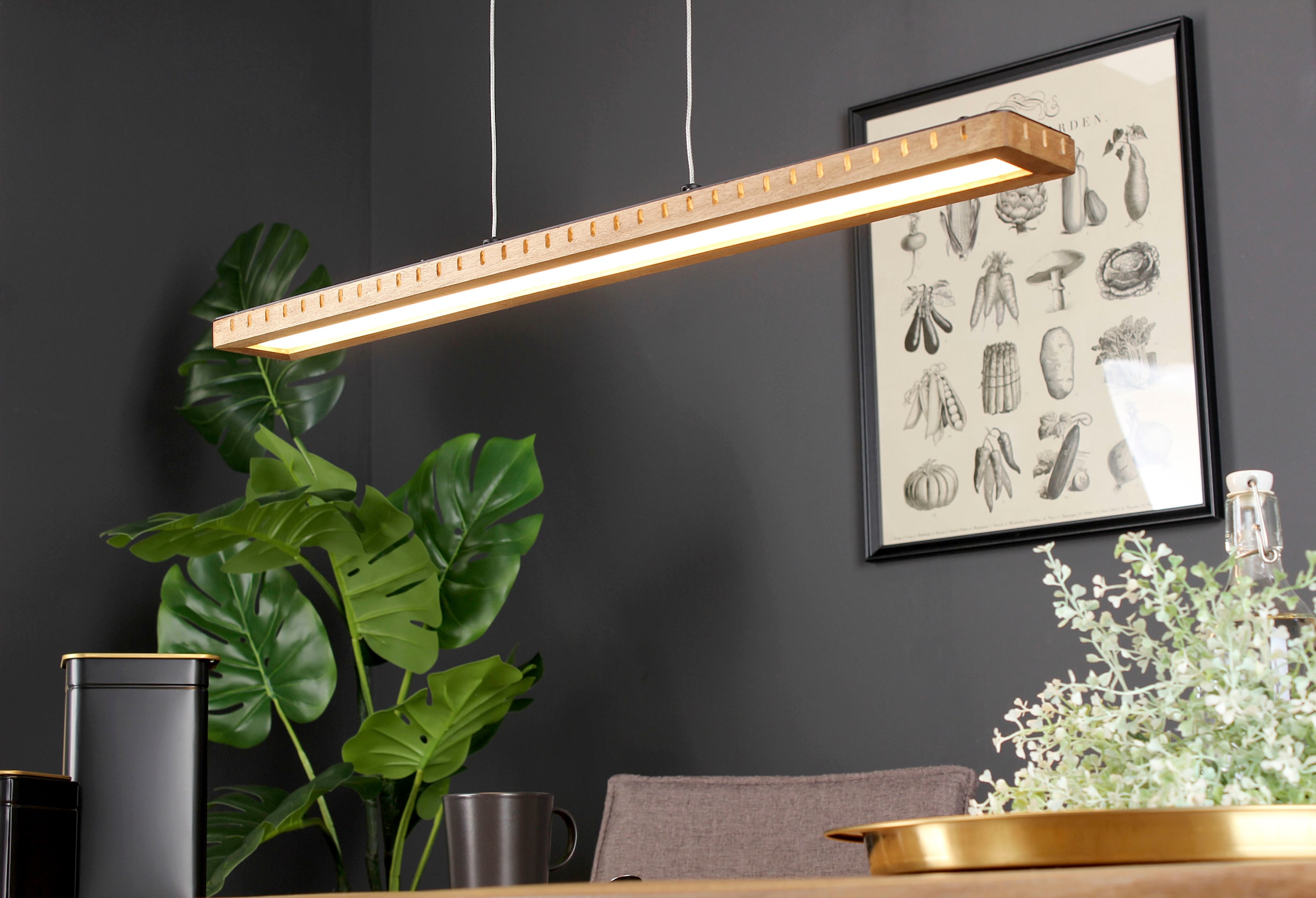 ECO-LIGHT LED Pendelleuchte »Solaris«, Leuchtmittel LED-Modul | LED fest integriert