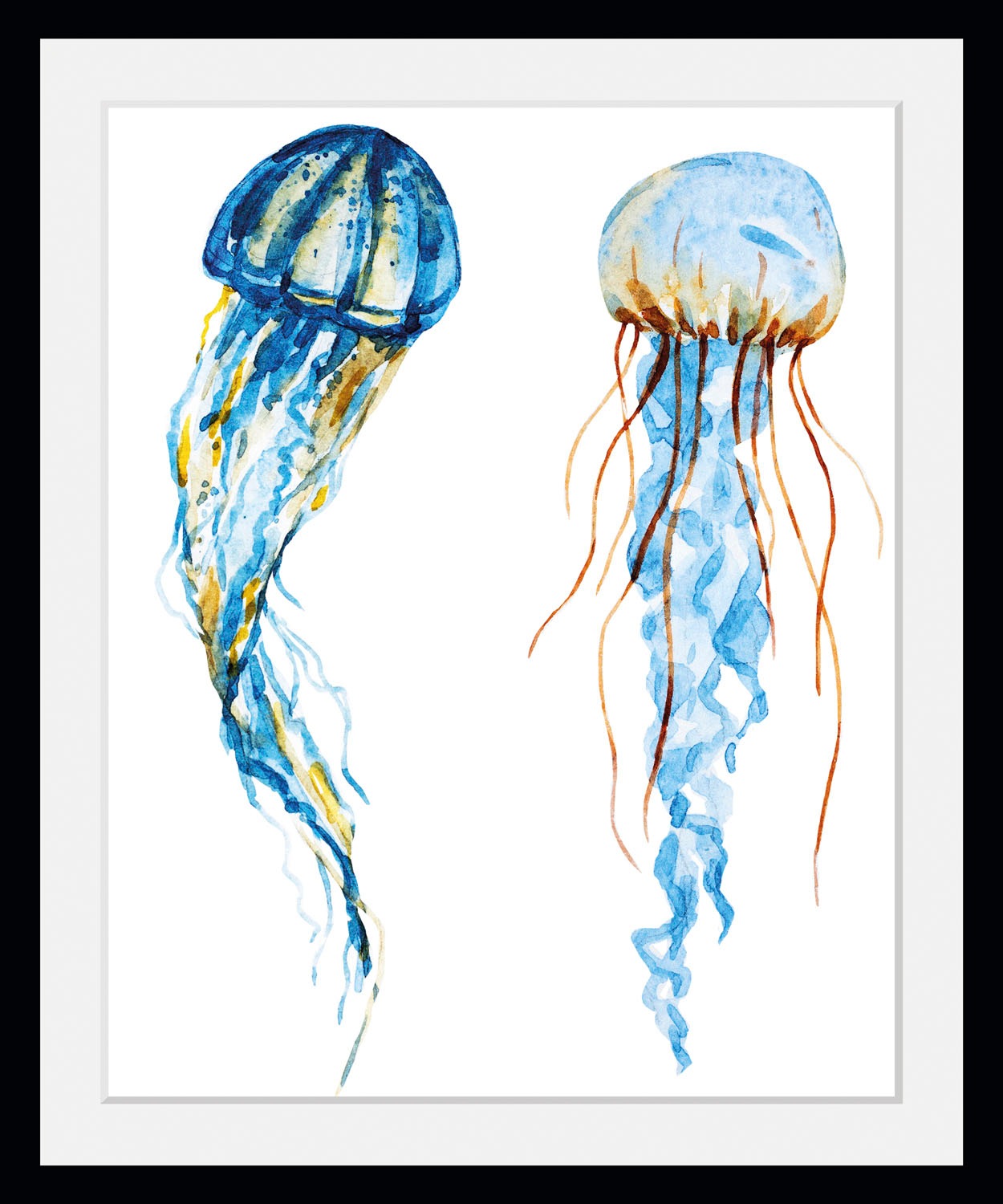 queence Bild »Alexander«, Meer-Wassertiere-Kunst, (1 St.), HD Premium Poste günstig online kaufen