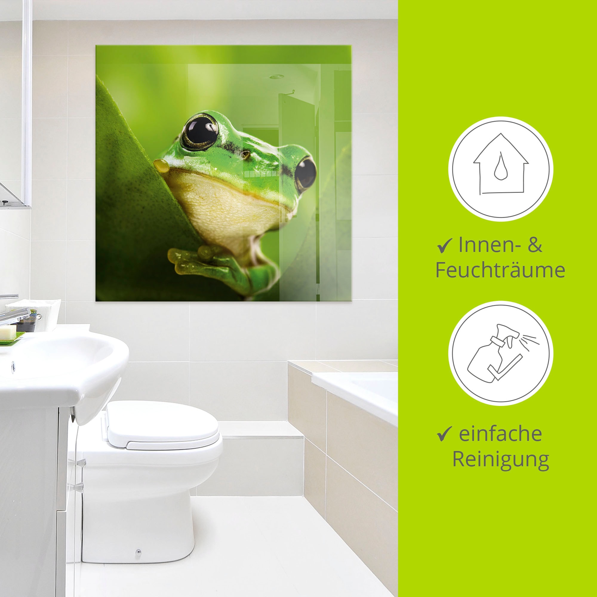 Artland Glasbild »Ausspähender Frosch« Wassertiere 1 Stk. tlg. in verschiedenen Größen