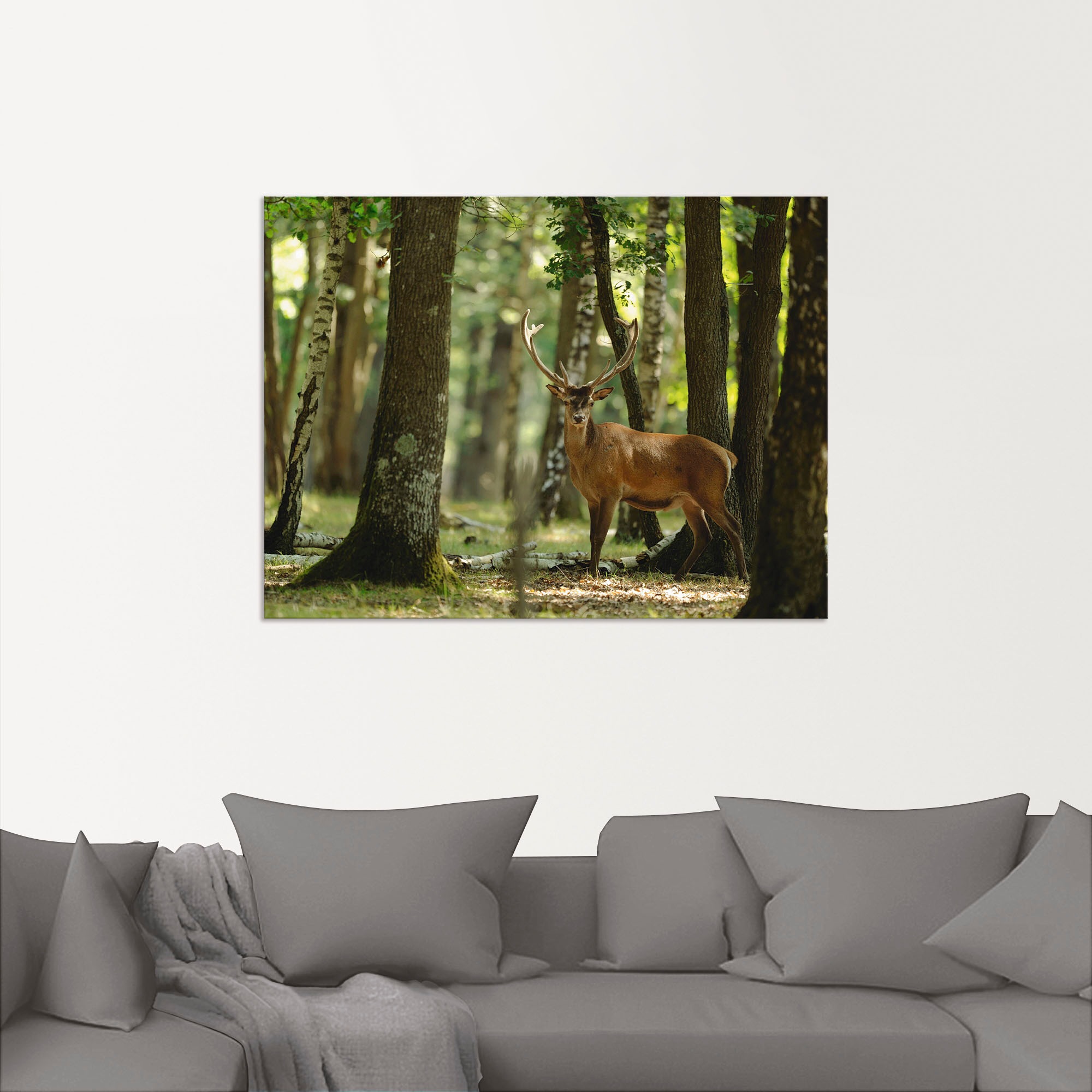 Artland Wandbild »Hirsch 4 - Wald«, Wildtiere, (1 St.), als Alubild, Leinwandbild, Wandaufkleber oder Poster in versch. Größen