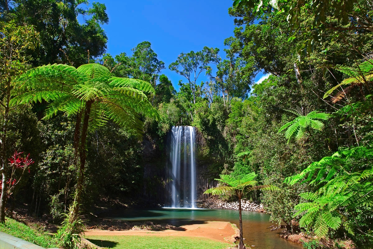 Papermoon Fototapete »Wasserfall im Wald«