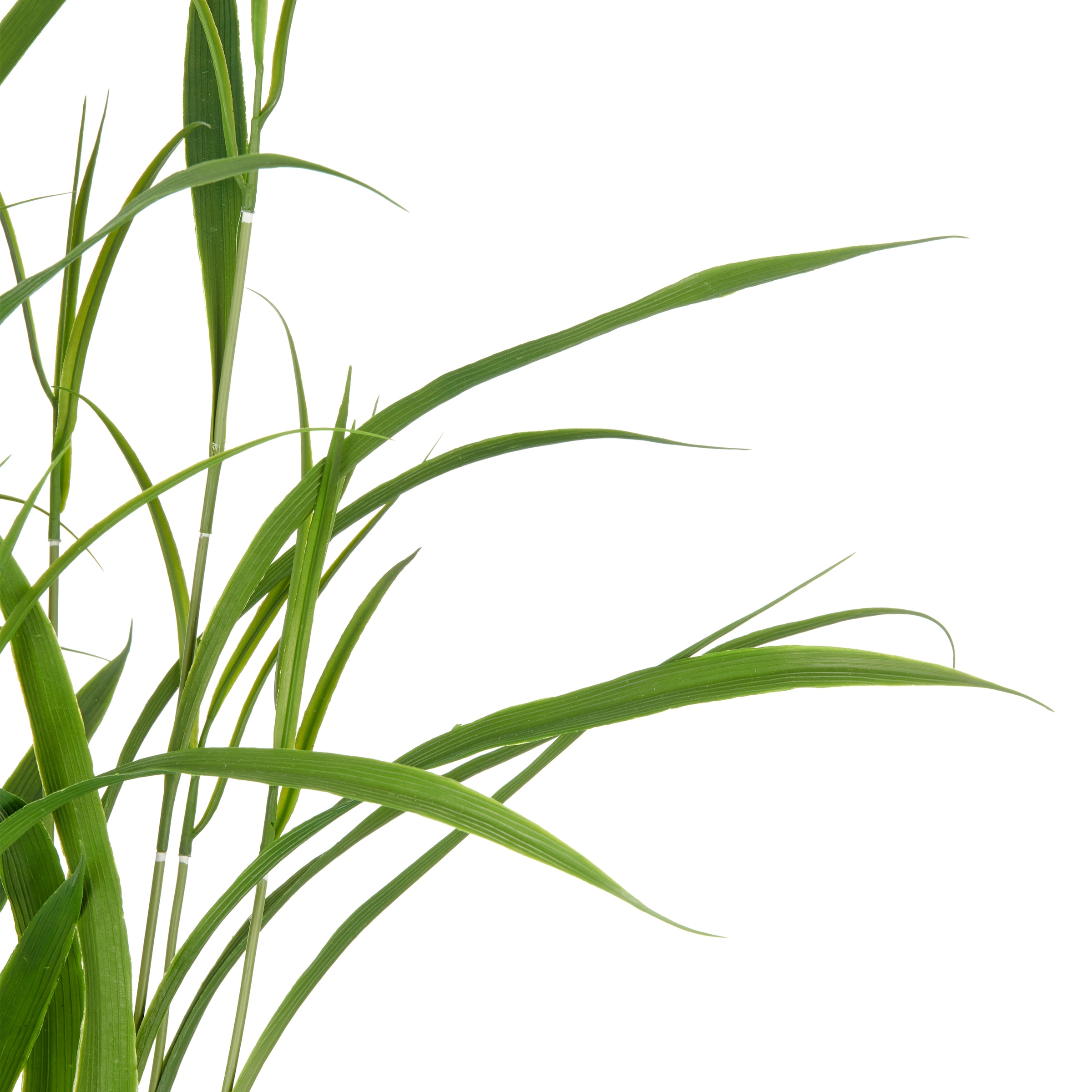 Creativ green Kunstgras »Grasbusch«, mit filigranen Grashalmen