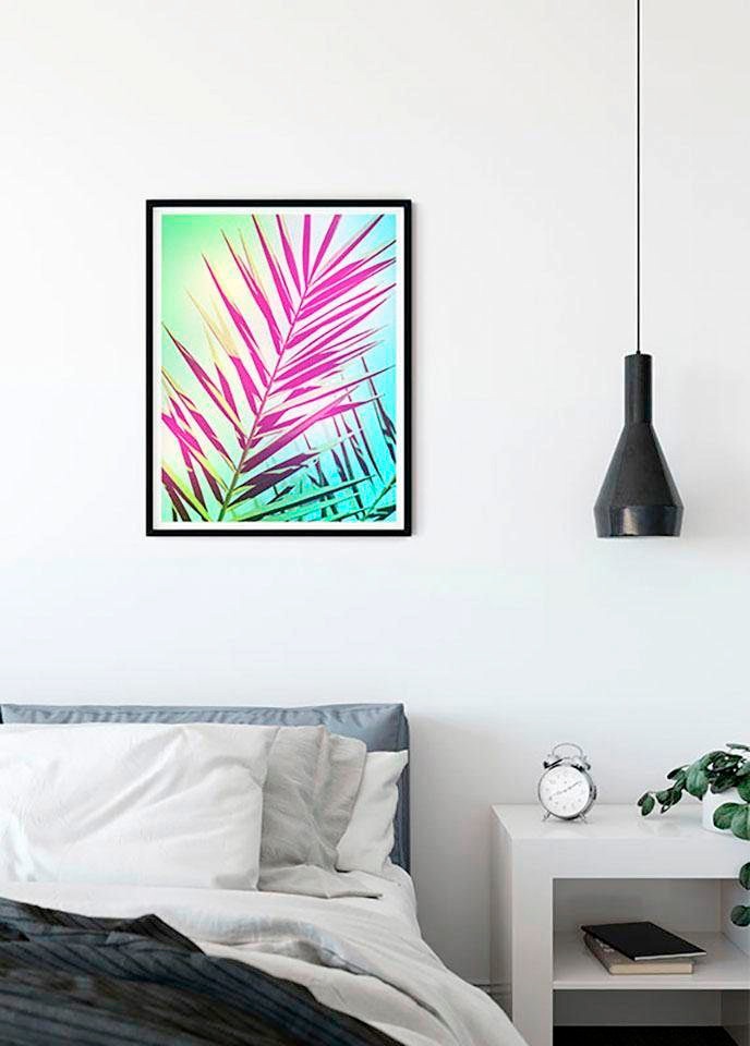 Komar Bild »Shine«, Pflanzen-Blätter, (1 St.), Wandbild zur Dekoration - ohne Rahmen