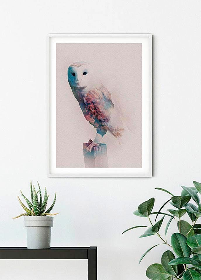 Komar Bild »Animals Forest Owl« Tiere 1 Stk. tlg. Wandbild zur Dekoration - ohne Rahmen