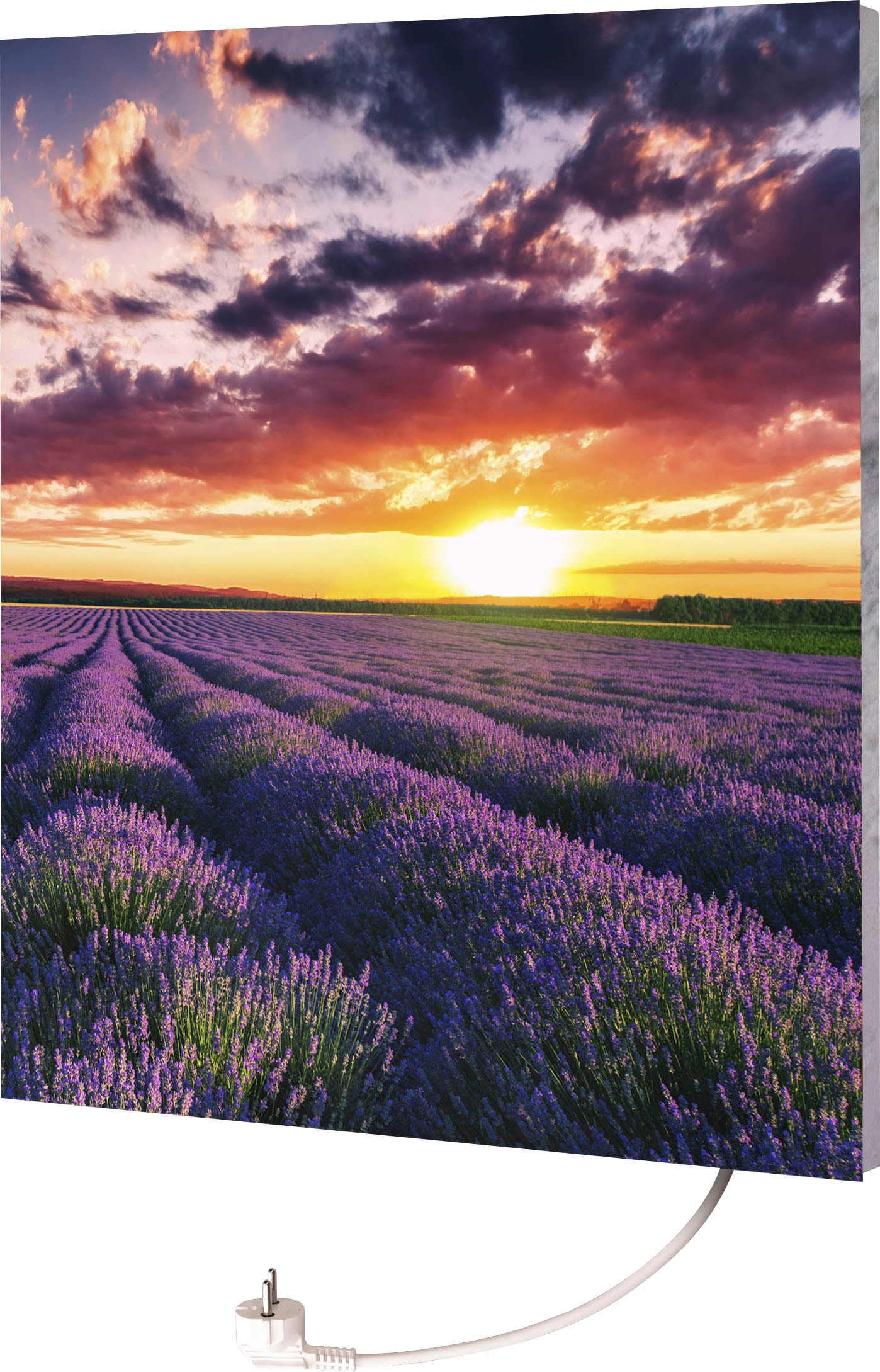 Marmony Infrarotheizung »Motiv Lavendel«, BxHxT: 50x60x2 cm, mit Fernbedienung und Timer