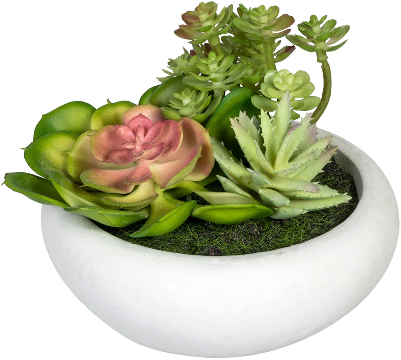 Creativ green Künstliche Zimmerpflanze »Sukkulentenarrangement«, im Zementtopf, 2er Set