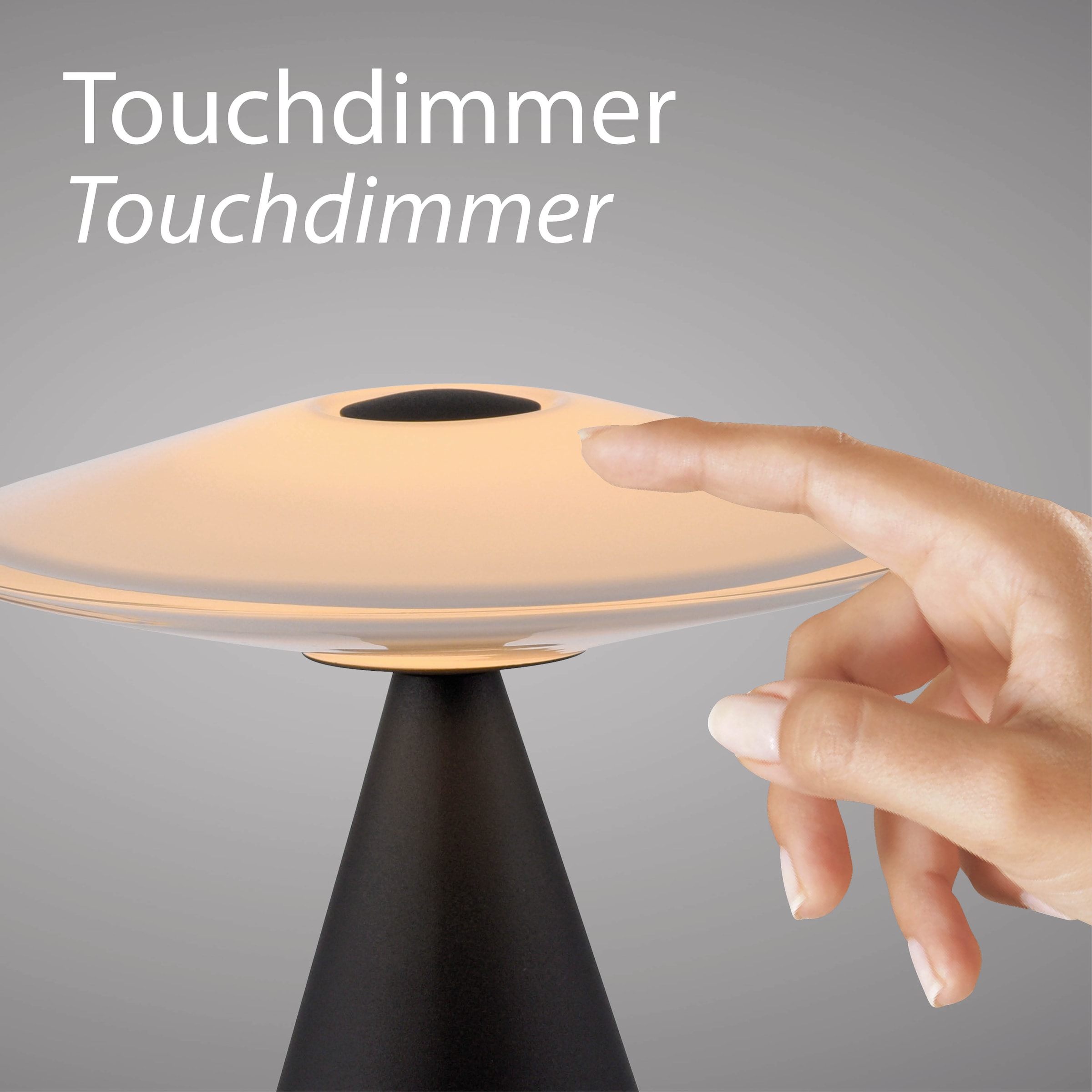 Paul Neuhaus LED Tischleuchte »ELIPSA« LED-Board 1 Stk. Warmweiß Touchdimmer, Memoryfunktion, Opalglas