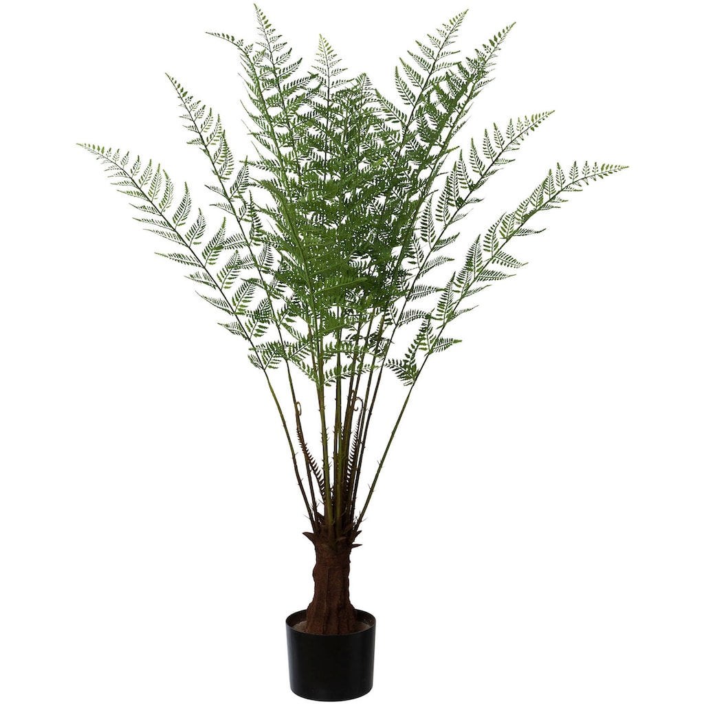 Creativ green Kunstpflanze »Baumfarn«, (1 St.), im Kunststofftopf