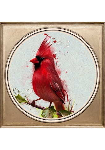 queence Acrylglasbild »Roter Vogel« kaufen