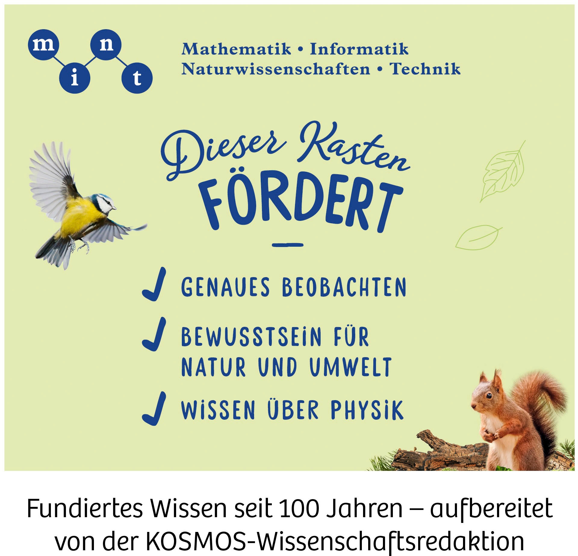 Kosmos Kinderfernrohr