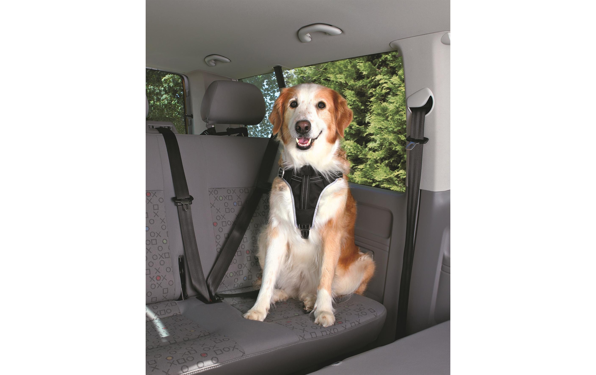 TRIXIE Hunde-Geschirr »Auto-Geschirr Dog Protect« Nylon