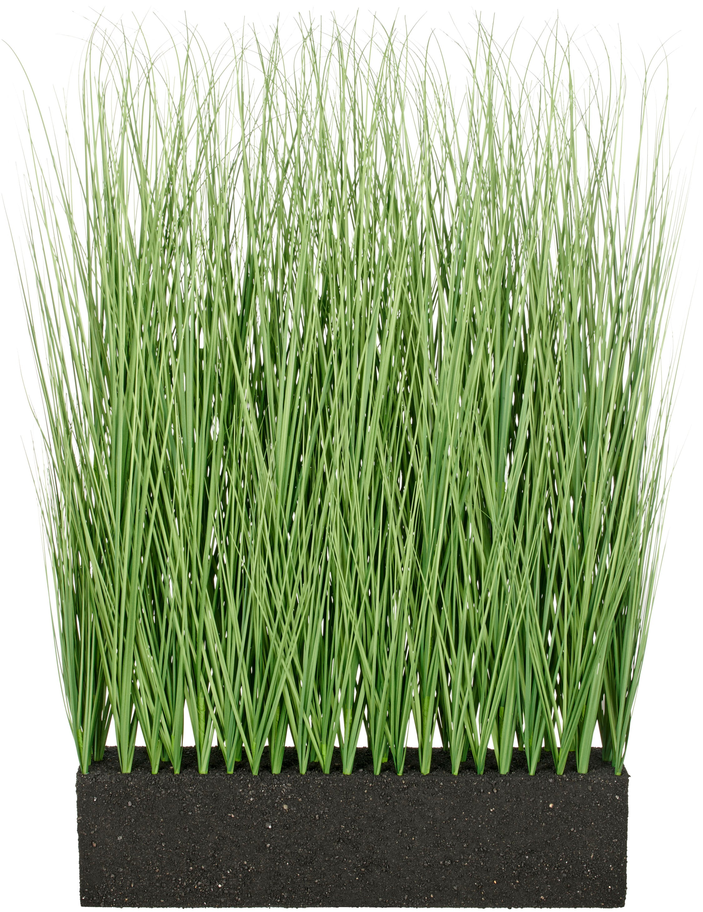 Creativ green Kunstgras »Raumteiler Miscanthusgras«, in UV-beständiger Ausf günstig online kaufen