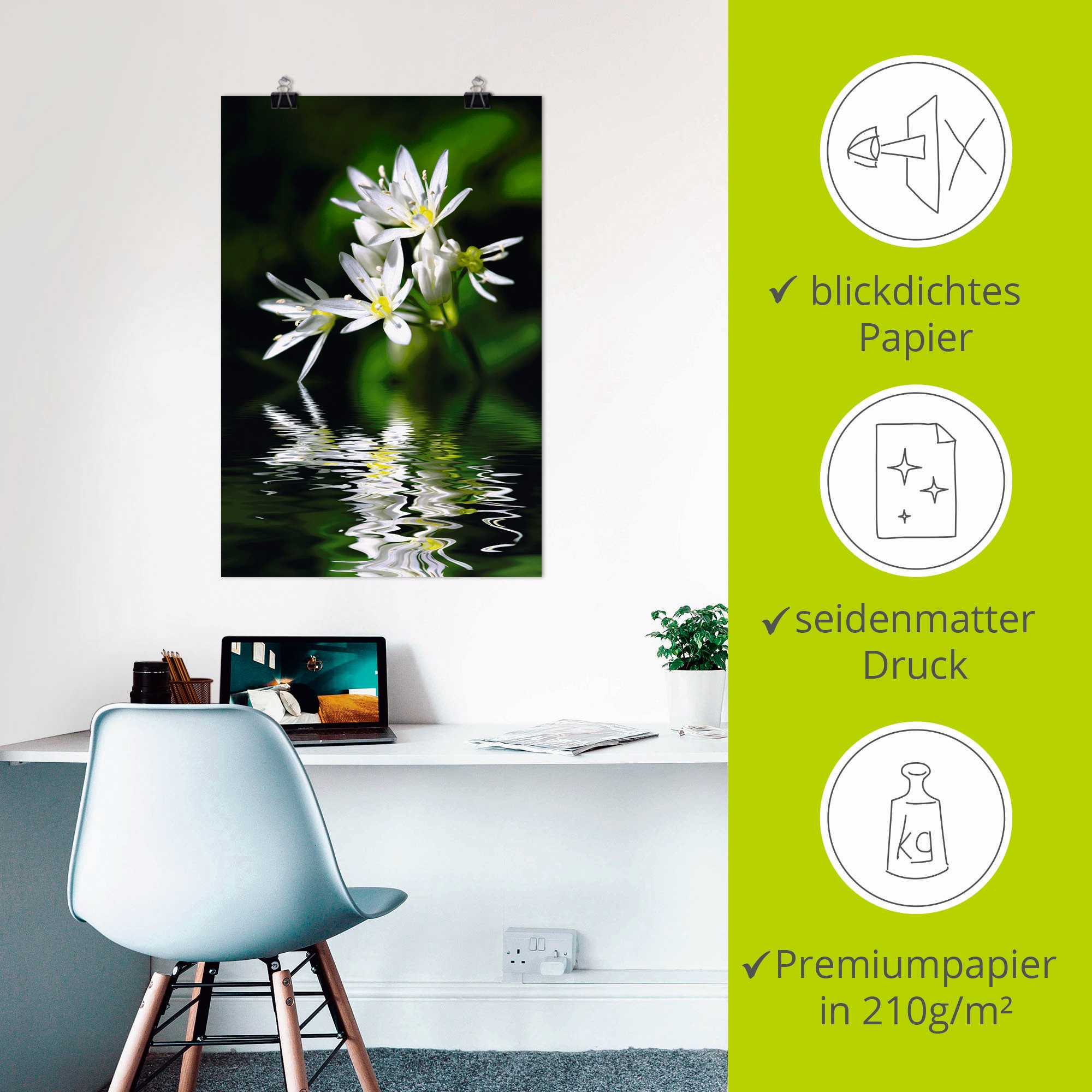 Artland Wandbild »Bärlauchblüten mit Wasserspiegelung«, Lebensmittel, (1 St.), als Leinwandbild, Poster in verschied. Größen
