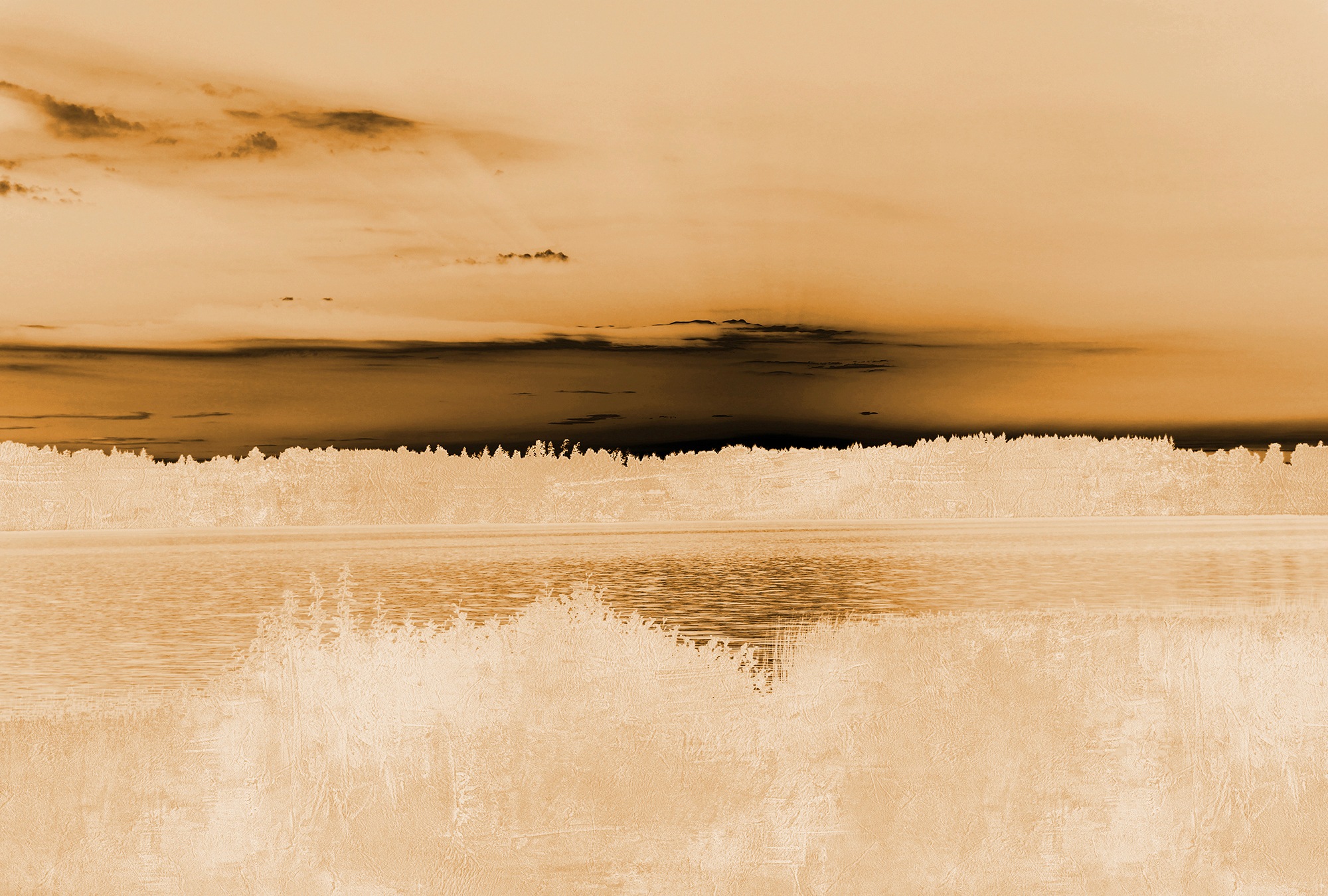 Architects Paper Fototapete »Atelier 47 Landscape Artwork 1« Wald glatt Vli günstig online kaufen