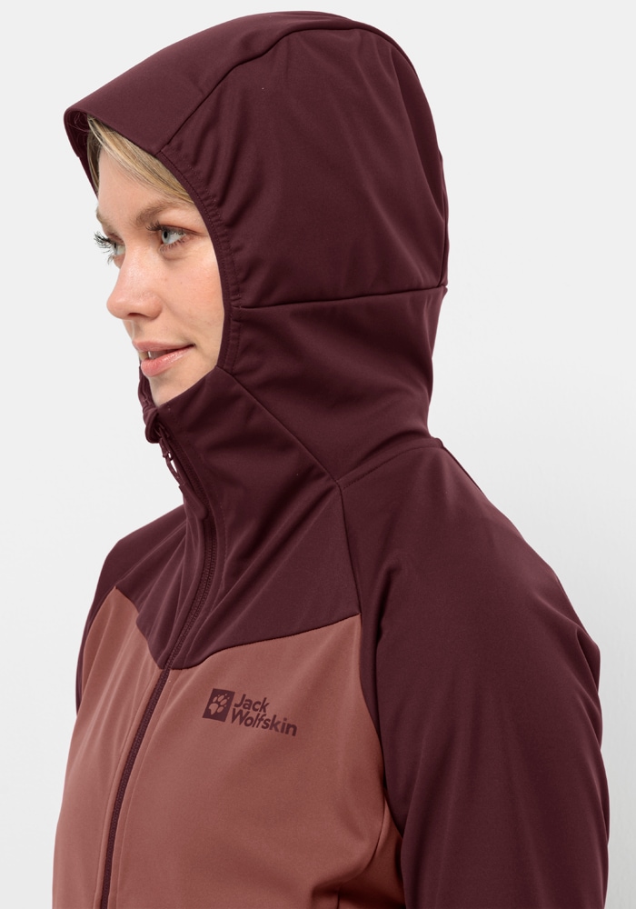 Jack Wolfskin Outdoorjacke »BRISSTAL HOODY W«, mit Kapuze