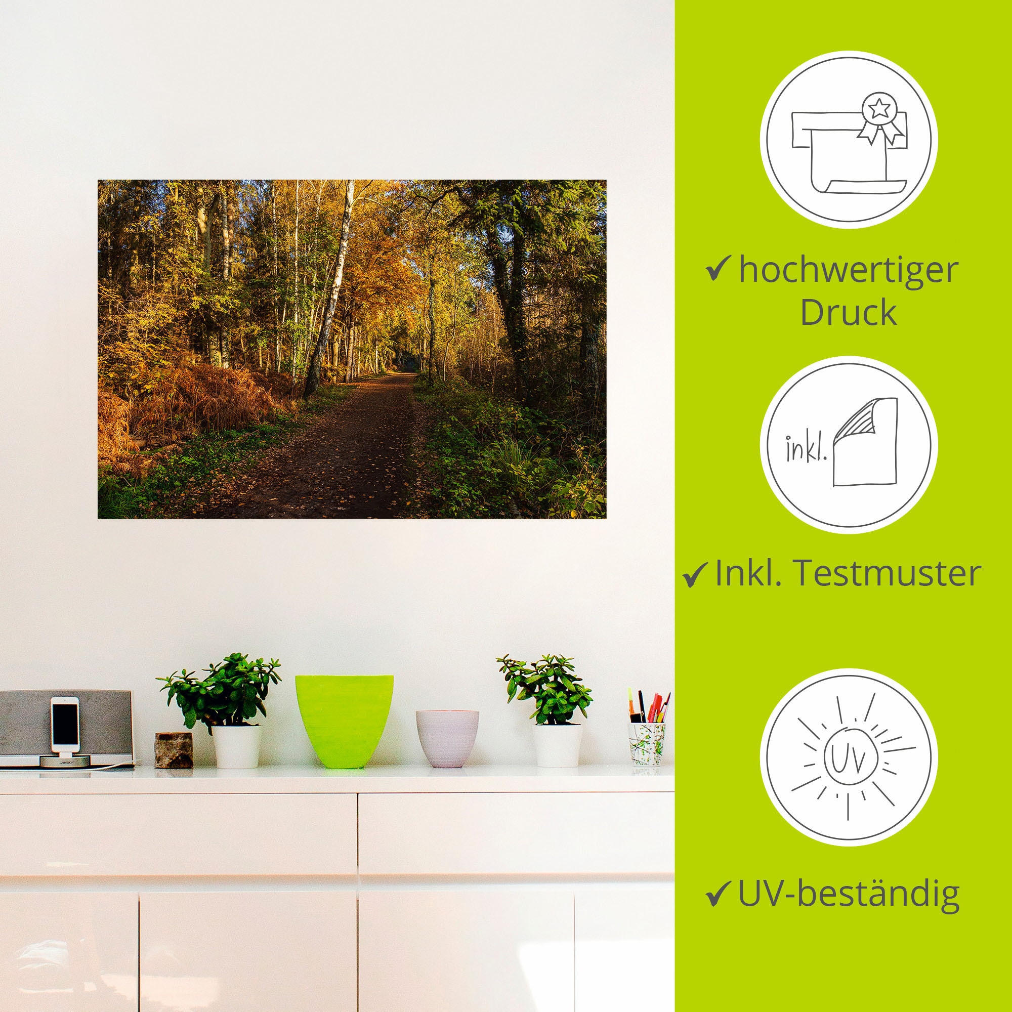 Artland Wandbild »Bäume herbstlich auf dem Fischland-Darß«, Waldbilder, (1 St.), als Alubild, Leinwandbild, Wandaufkleber oder Poster in versch. Größen
