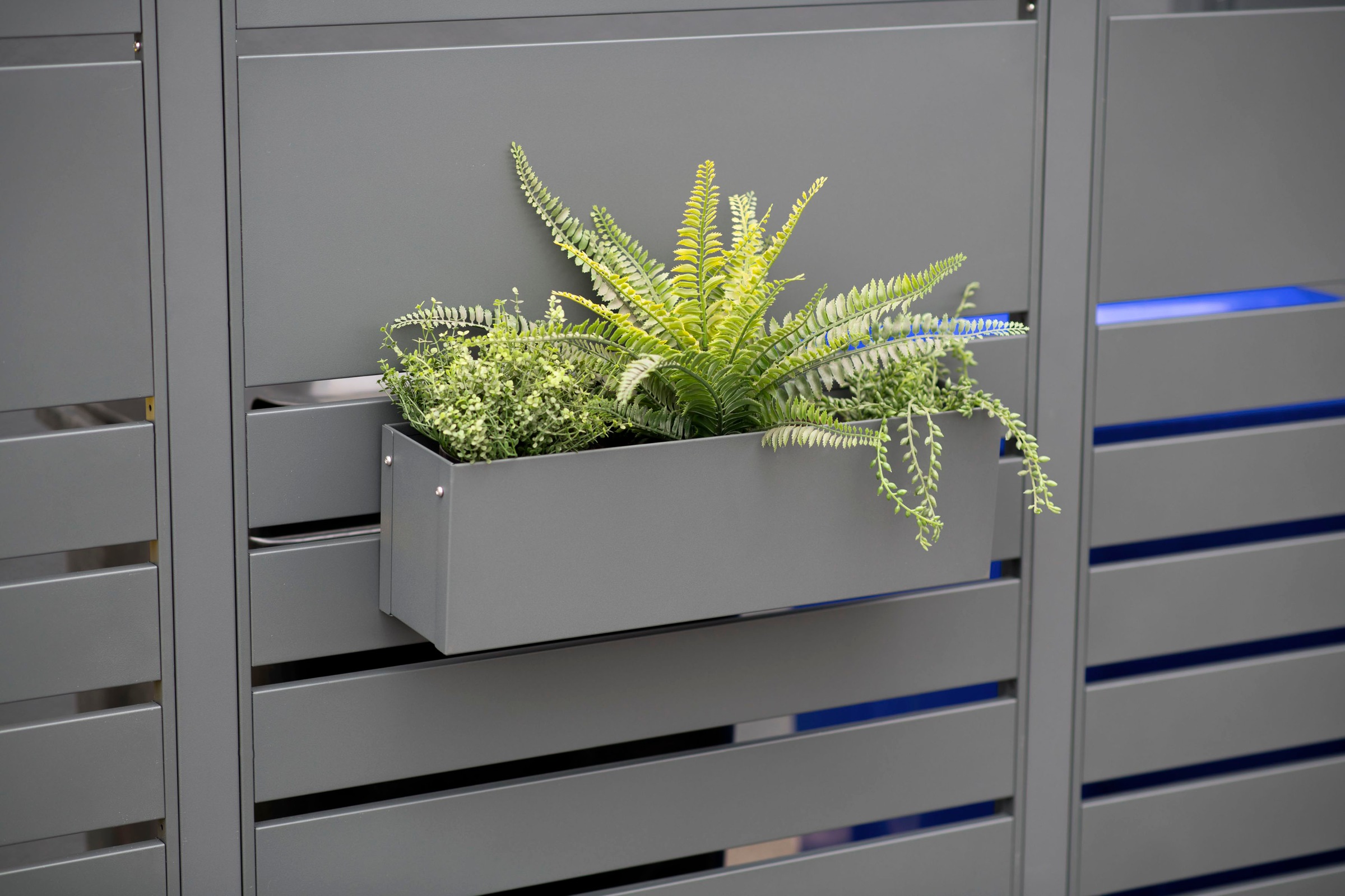 WESTMANN Blumenkasten »Planum«, aus pulverbeschichtetem Stahlblech