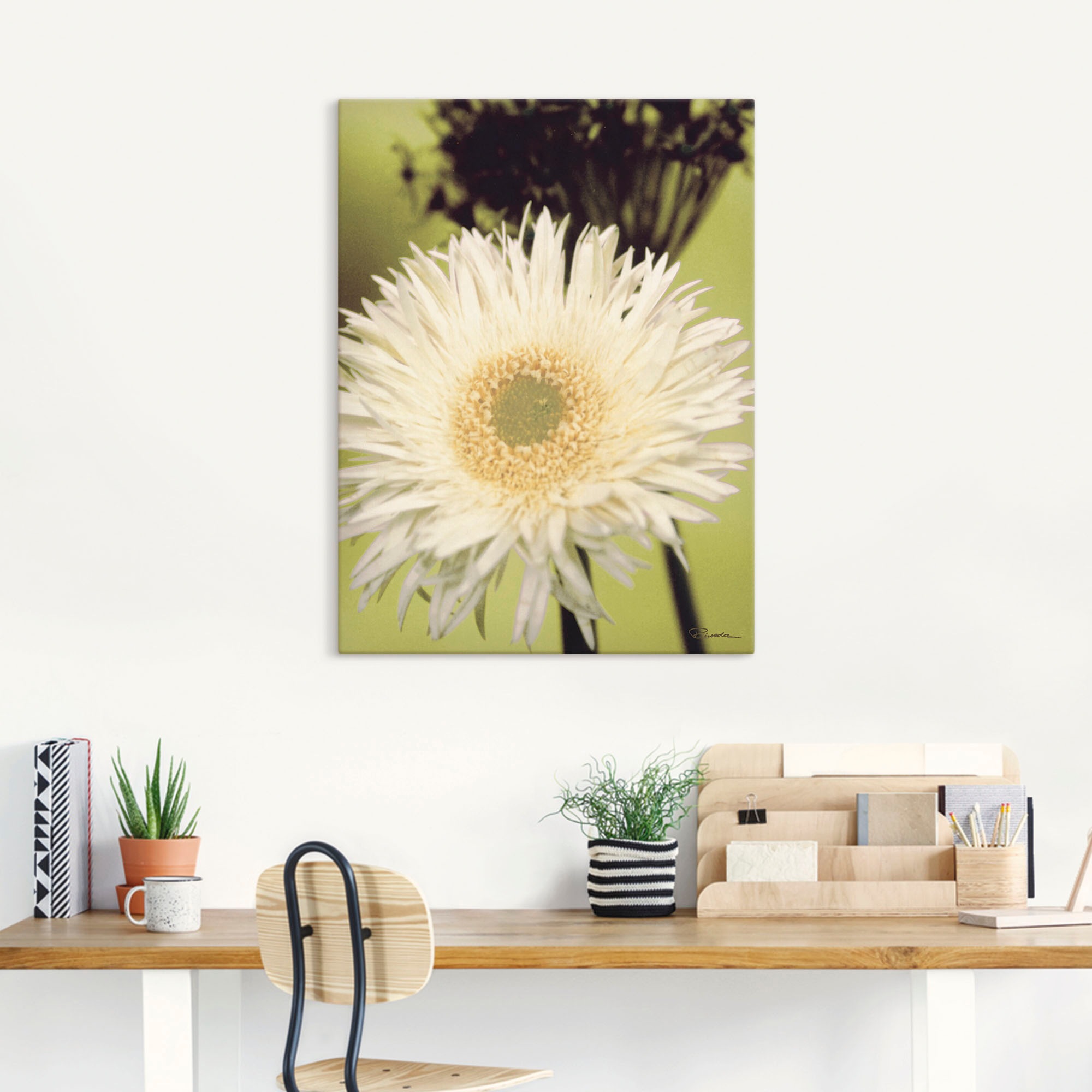 Artland Leinwandbild »Eine vor grün - Gerbera«, Blumenbilder, (1 St.), auf günstig online kaufen